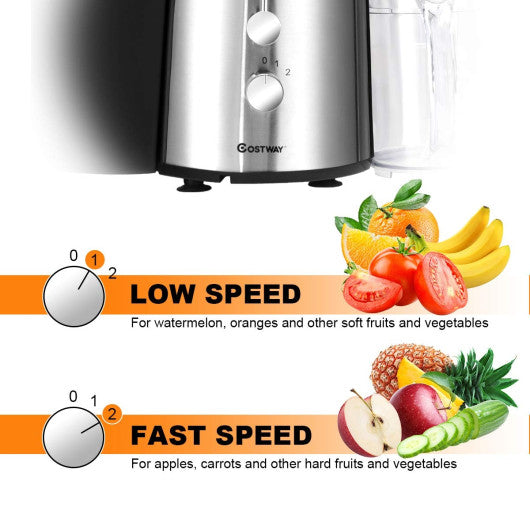 2 Speed Electric Juice Press for Fruit and Vegetable - Set Shop and Smile