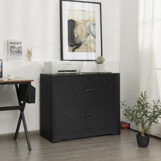 2-Drawer Lateral File Cabinet with Adjustable Bars for Home and Office at Set Shop and Smile