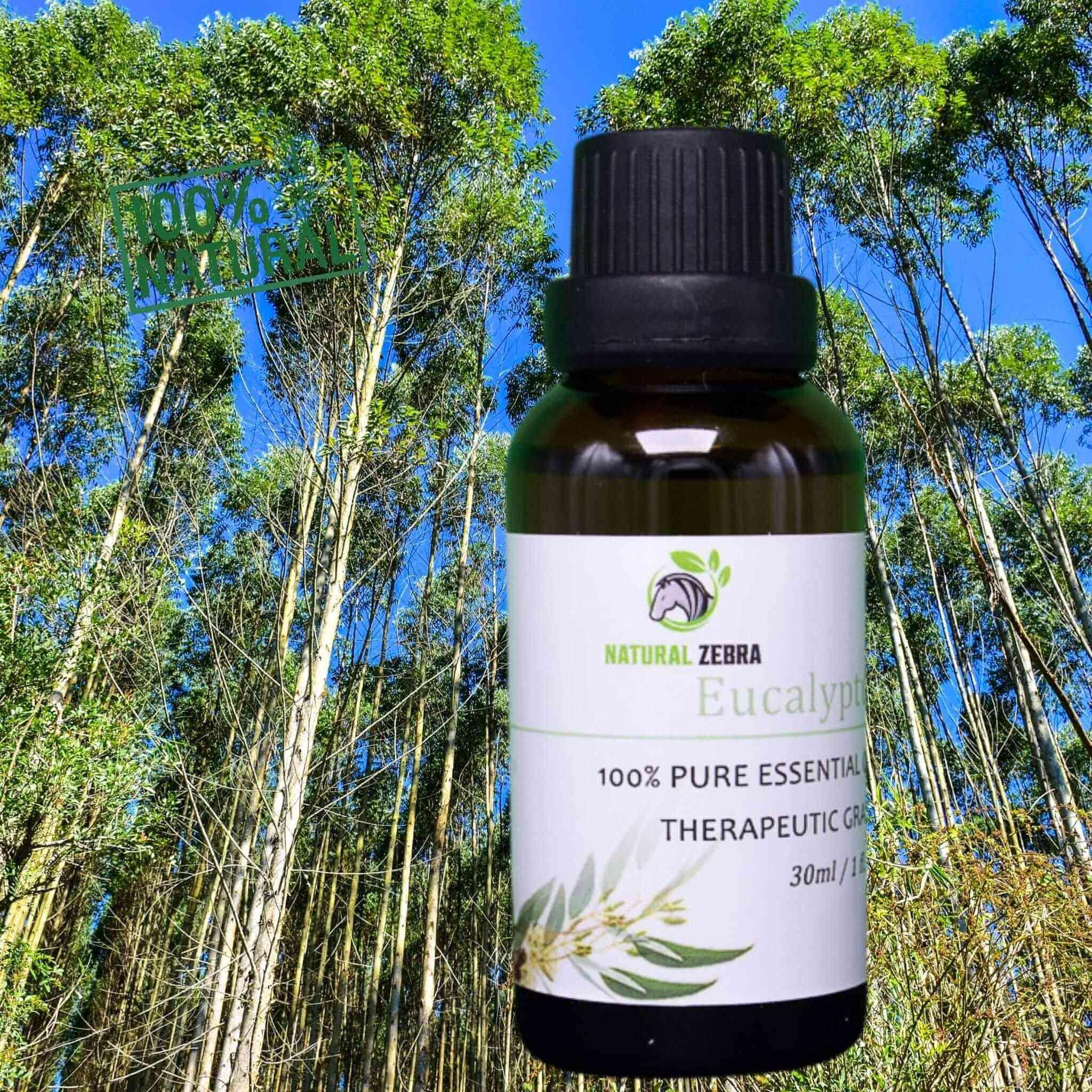 Eucalyptus Essential Oil at Set Shop and Smile