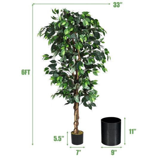 6 Feet Artificial Ficus Silk Tree at Set Shop and Smile