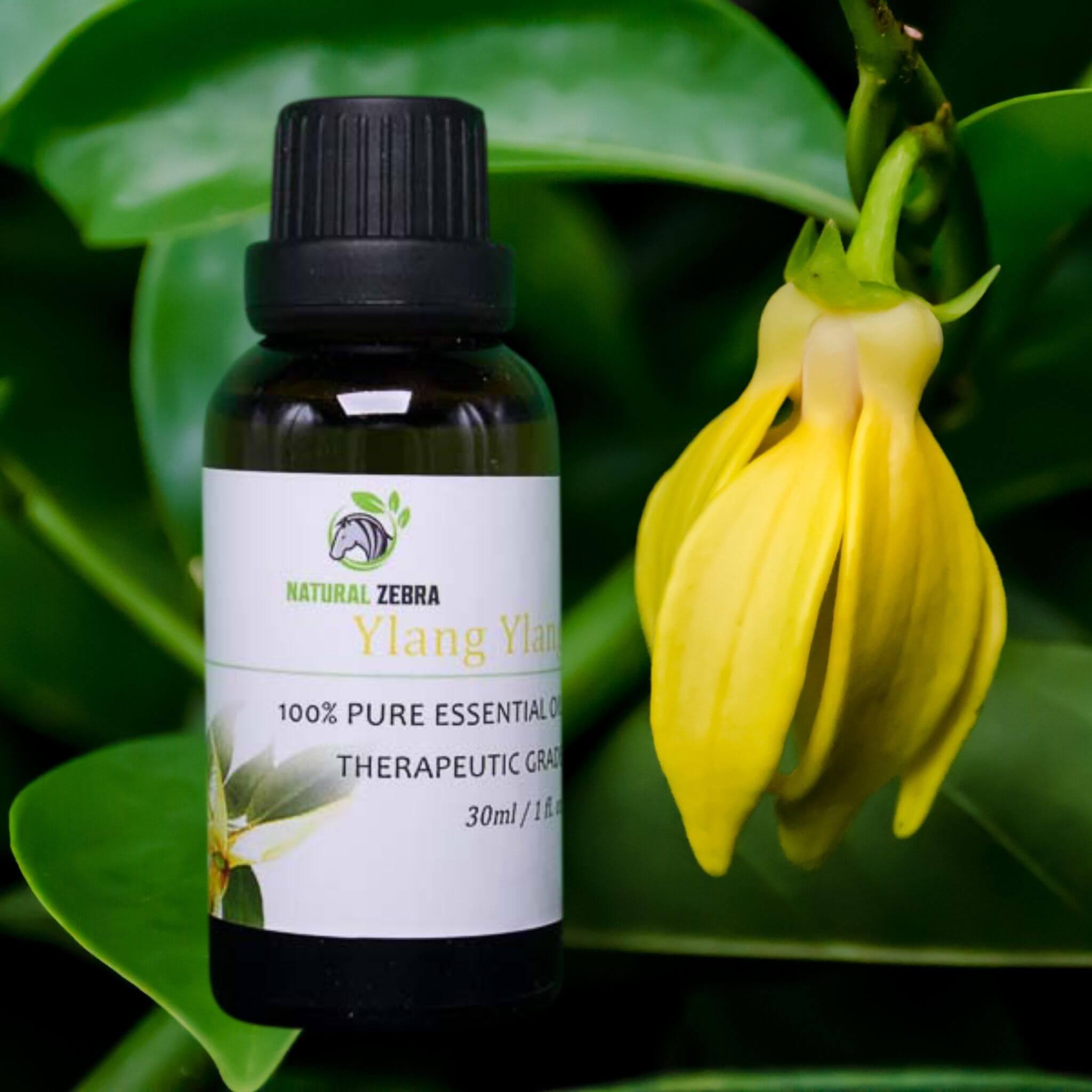 Ylang Ylang Essential Oil at Set Shop and Smile