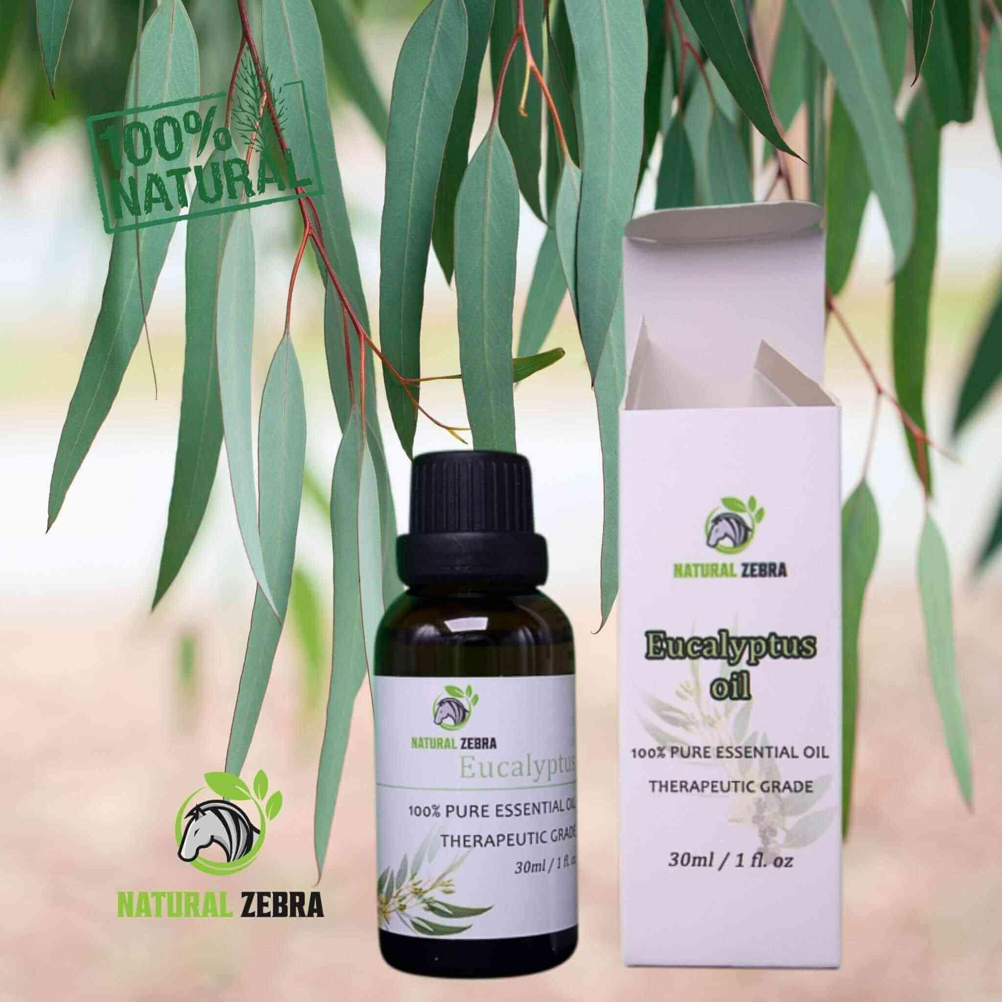 Eucalyptus Essential Oil at Set Shop and Smile