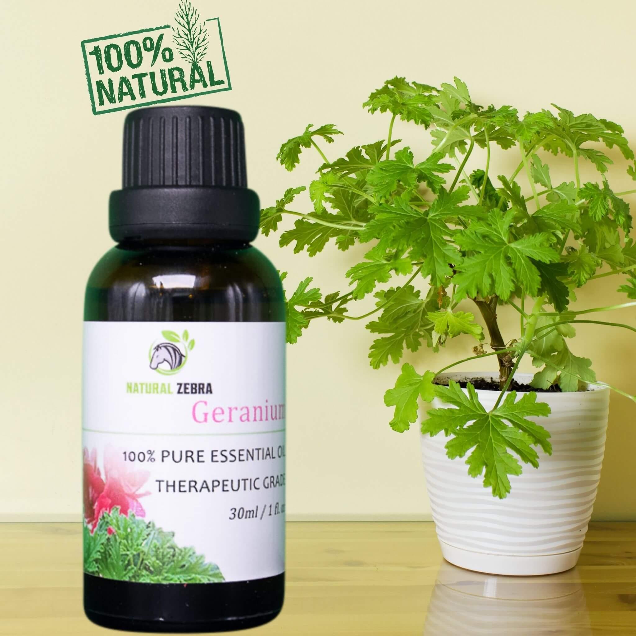 Geranium Essential Oil at Set Shop and Smile