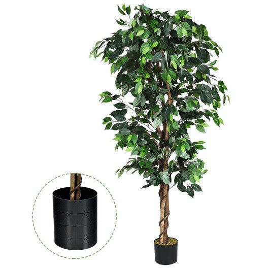 6 Feet Artificial Ficus Silk Tree at Set Shop and Smile