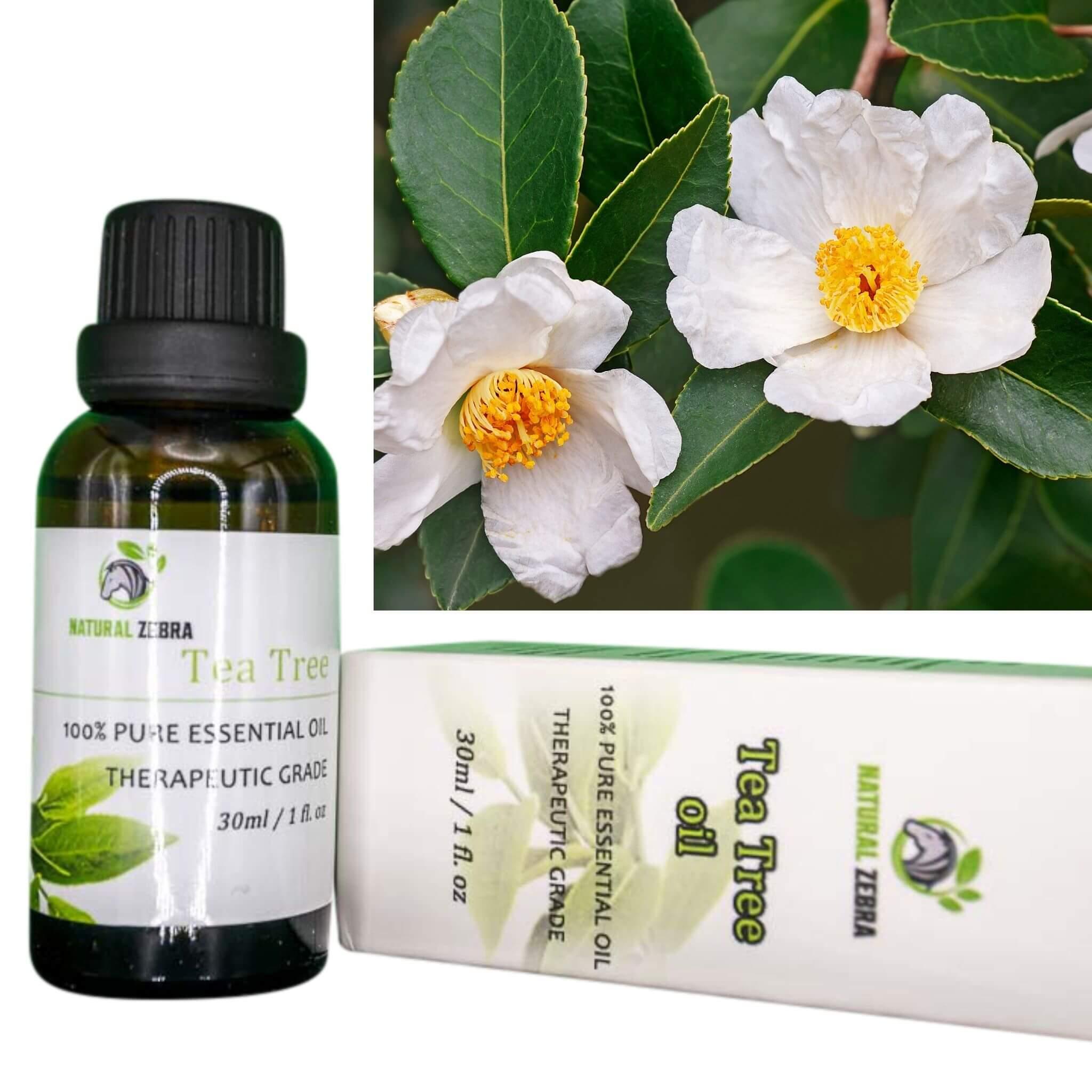 Tea Tree Essential Oil at Set Shop and Smile