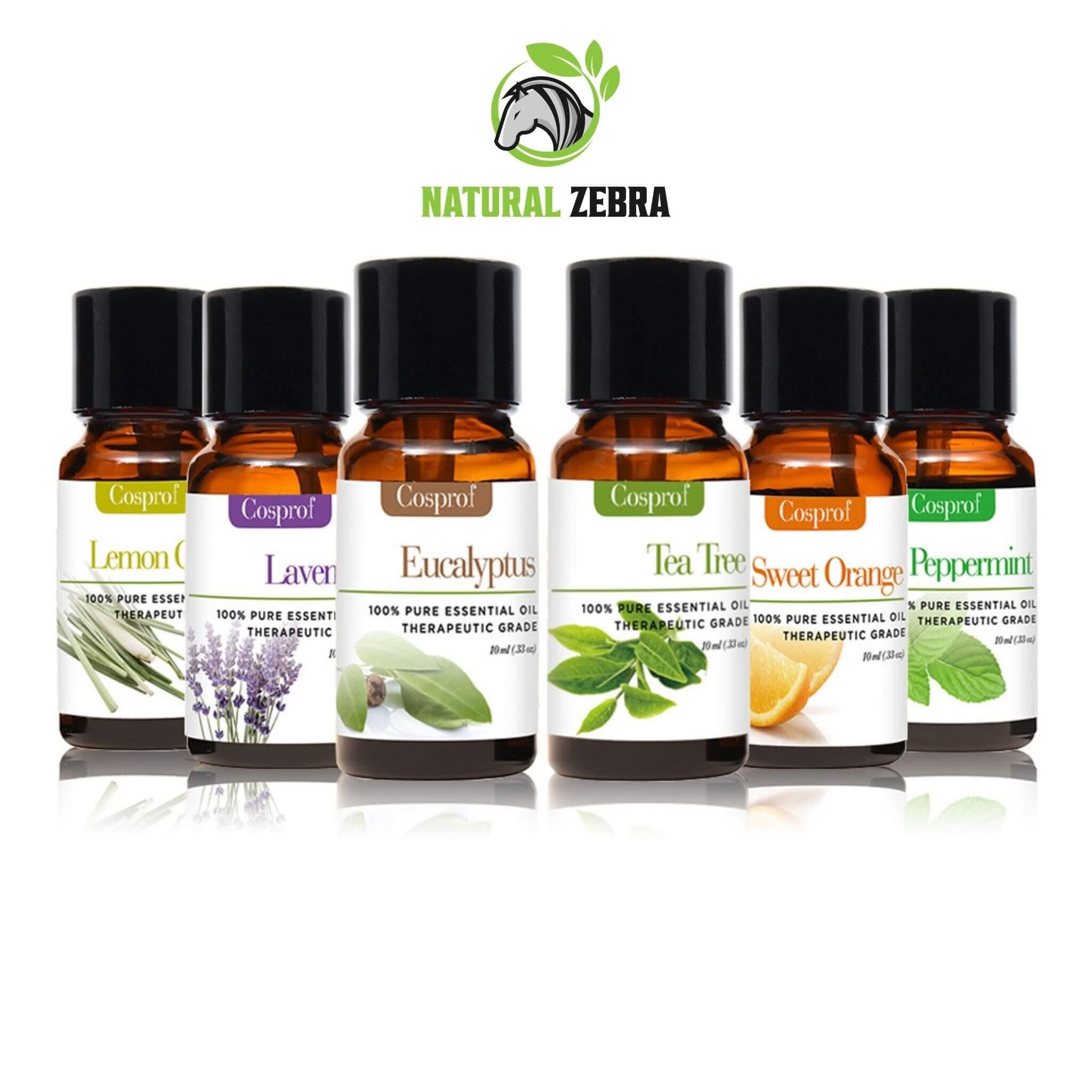 Essential Oils For Aromatherapy (Pack of 6) at Set Shop and Smile