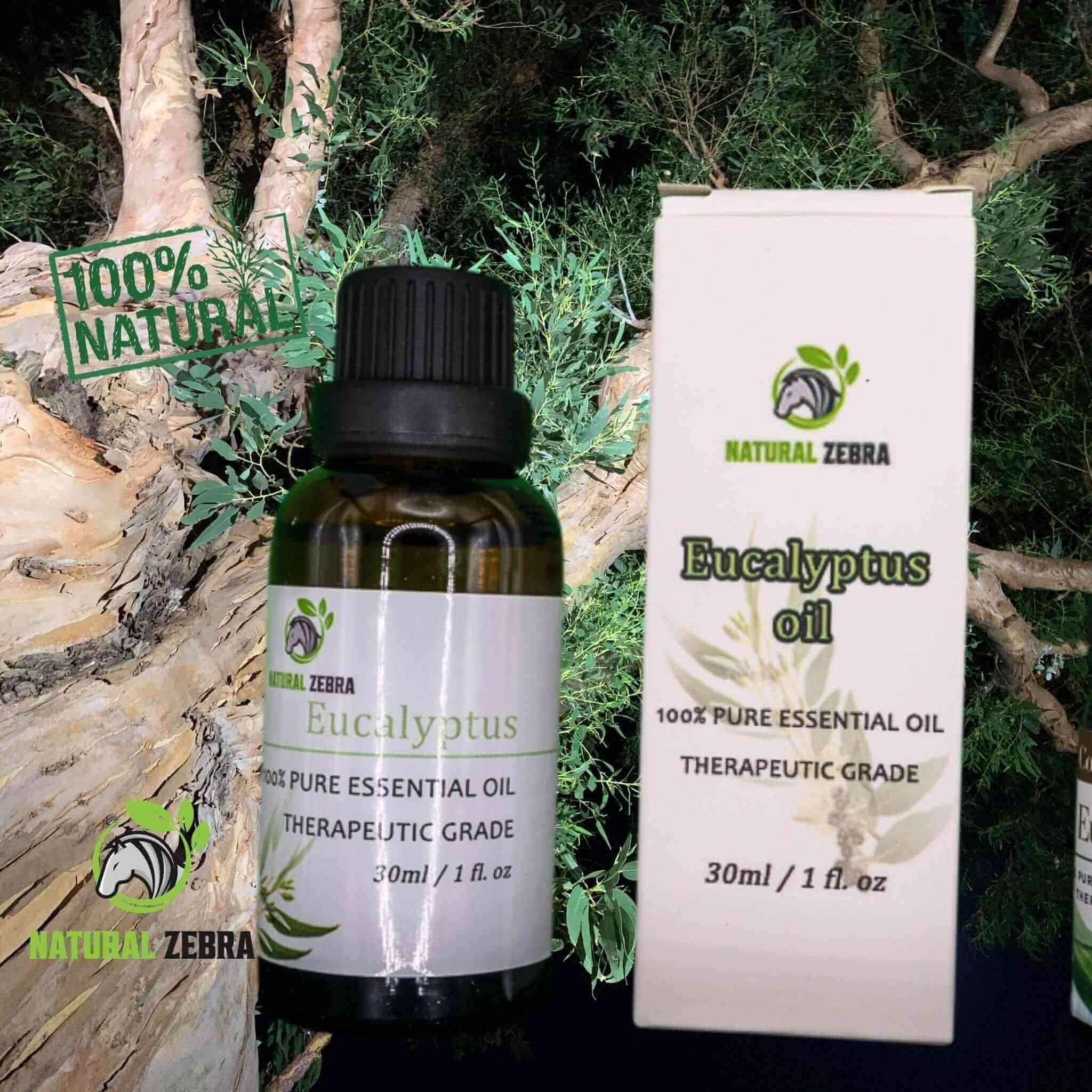 Eucalyptus Essential Oil at Set Shop and Smile