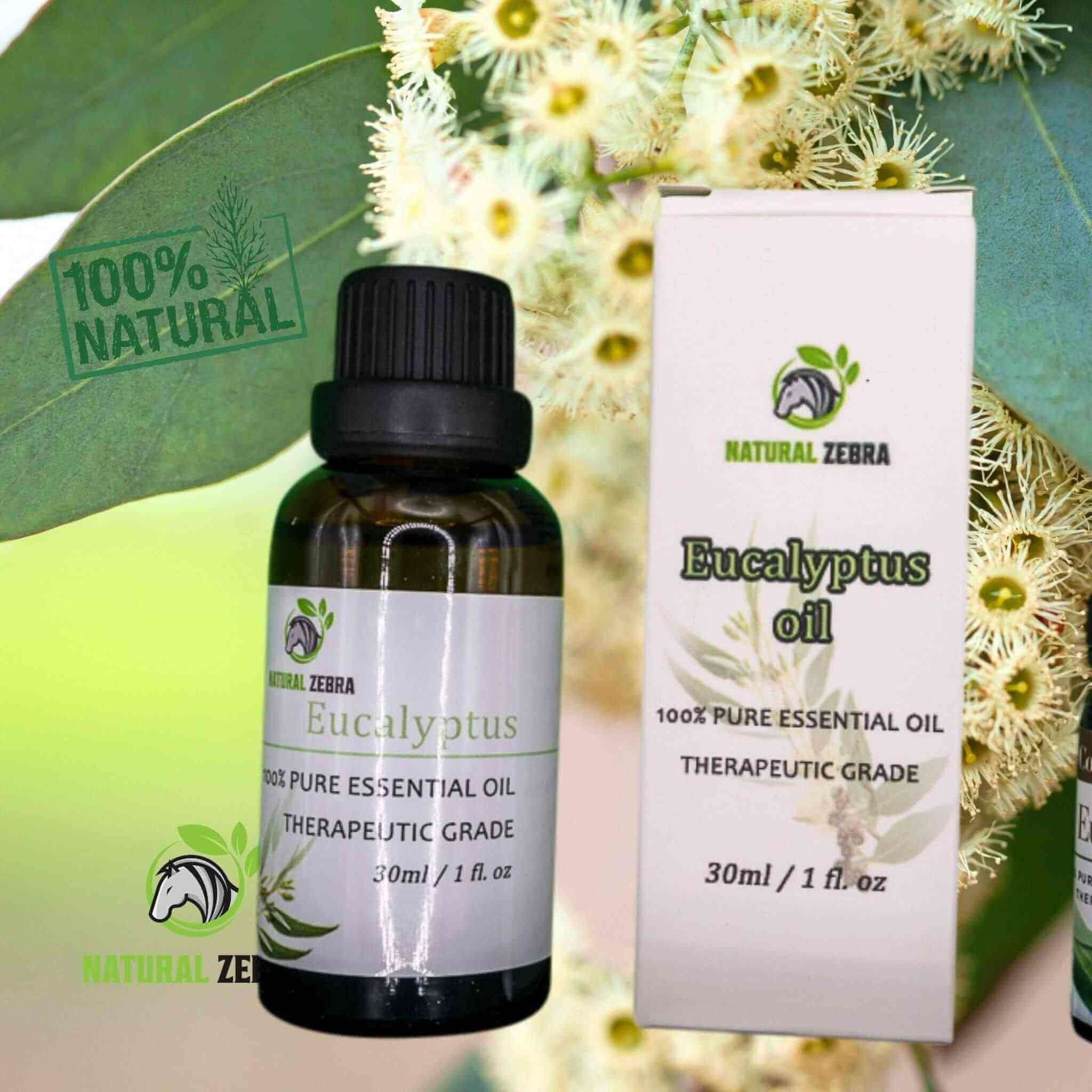 Eucalyptus Essential Oil at Set Shop and Smile