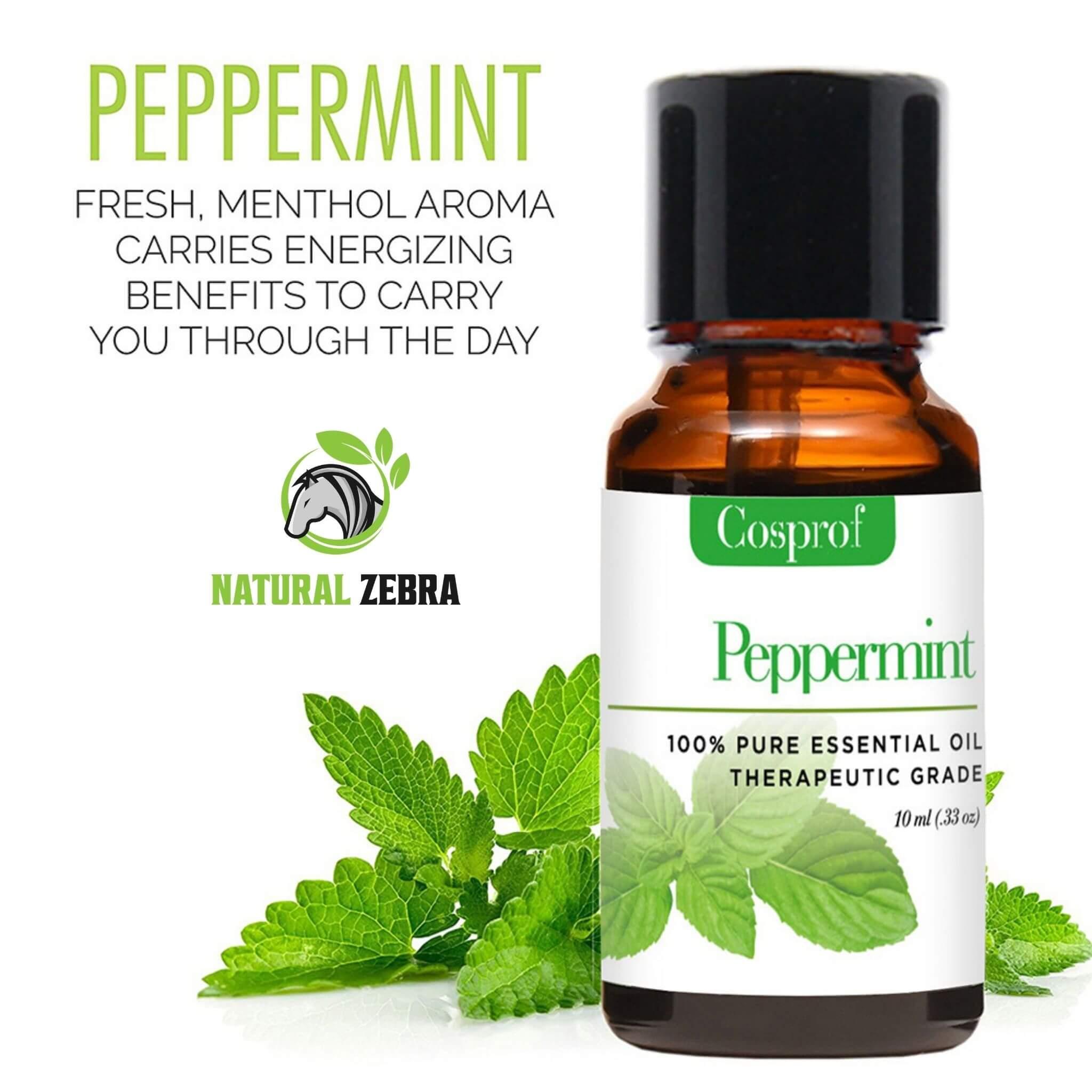 Essential Oils For Aromatherapy (Pack of 6) at Set Shop and Smile