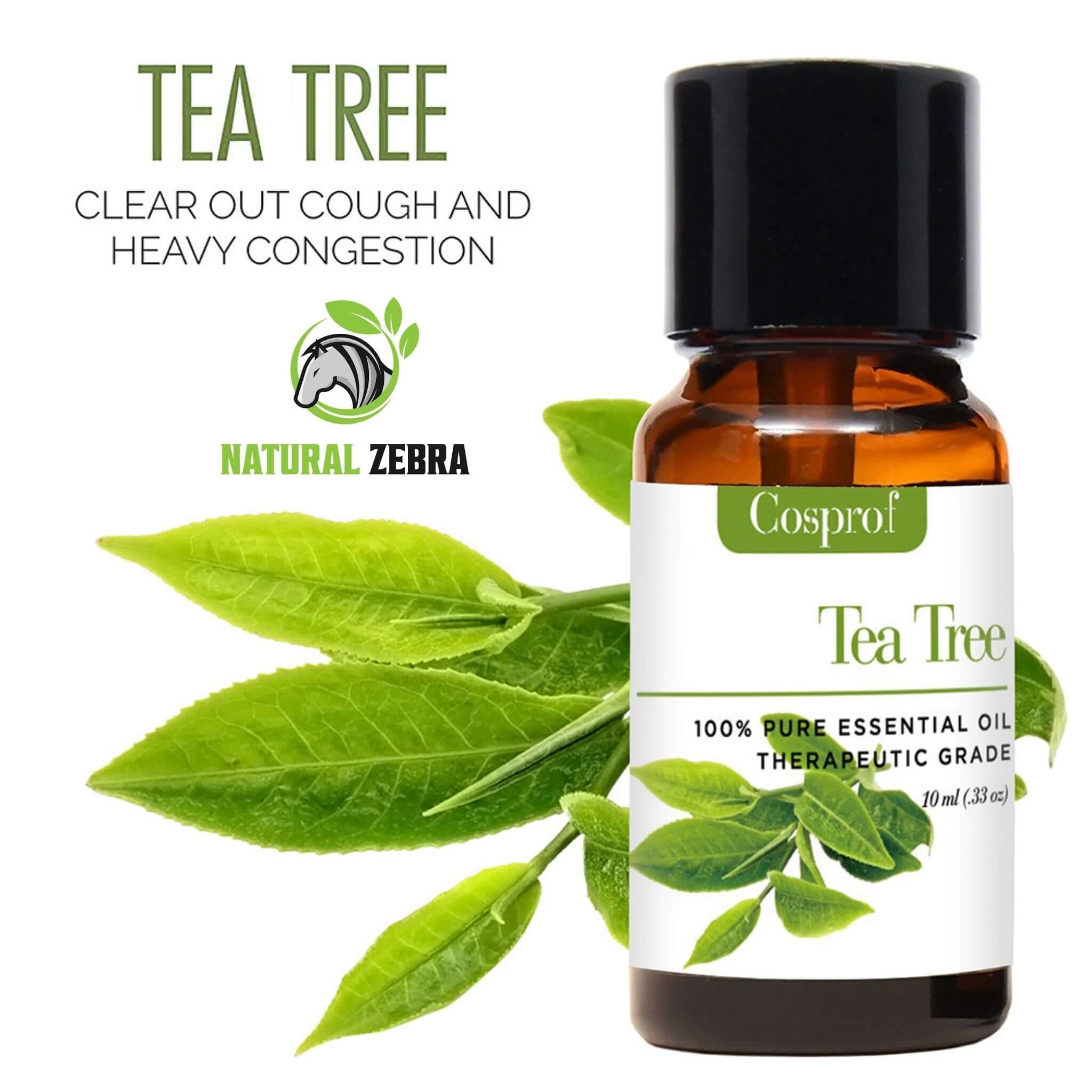 Essential Oils For Aromatherapy (Pack of 6) at Set Shop and Smile