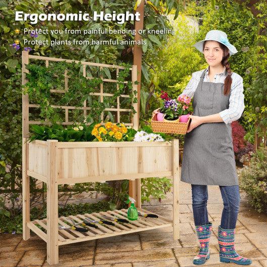 Costway Raised Garden Bed Elevated Wooden Planter Box with Trellis at Set Shop and Smile