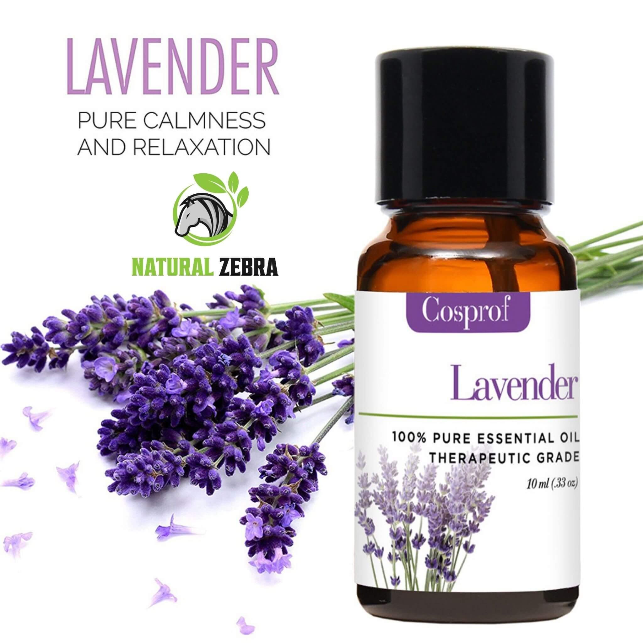 Essential Oils For Aromatherapy (Pack of 6) at Set Shop and Smile