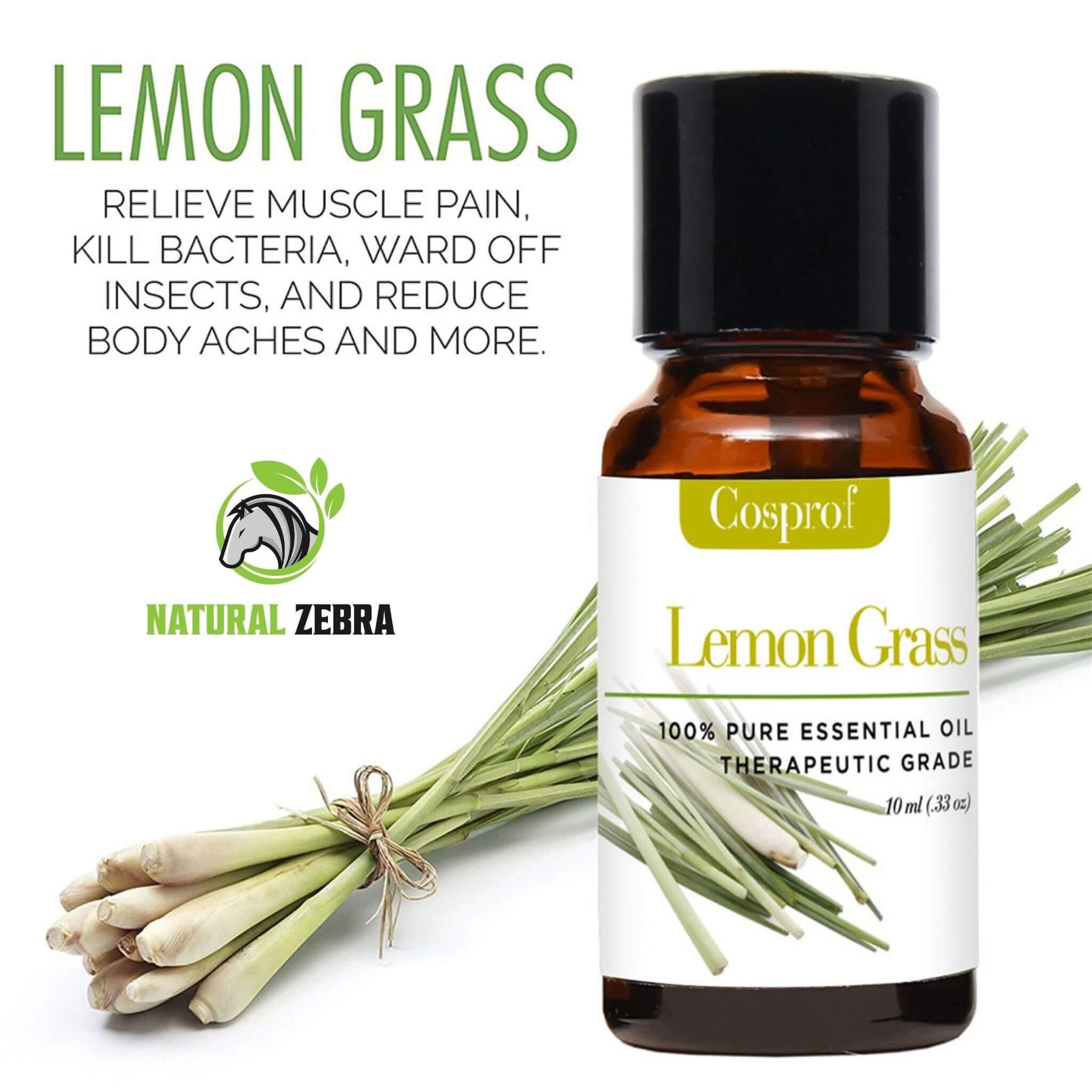 Essential Oils For Aromatherapy (Pack of 6) at Set Shop and Smile