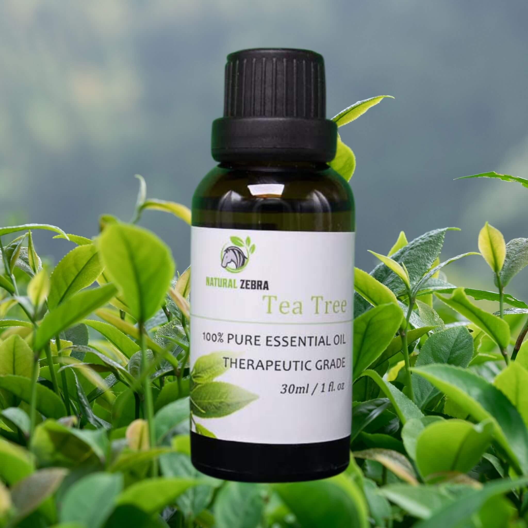 Tea Tree Essential Oil at Set Shop and Smile