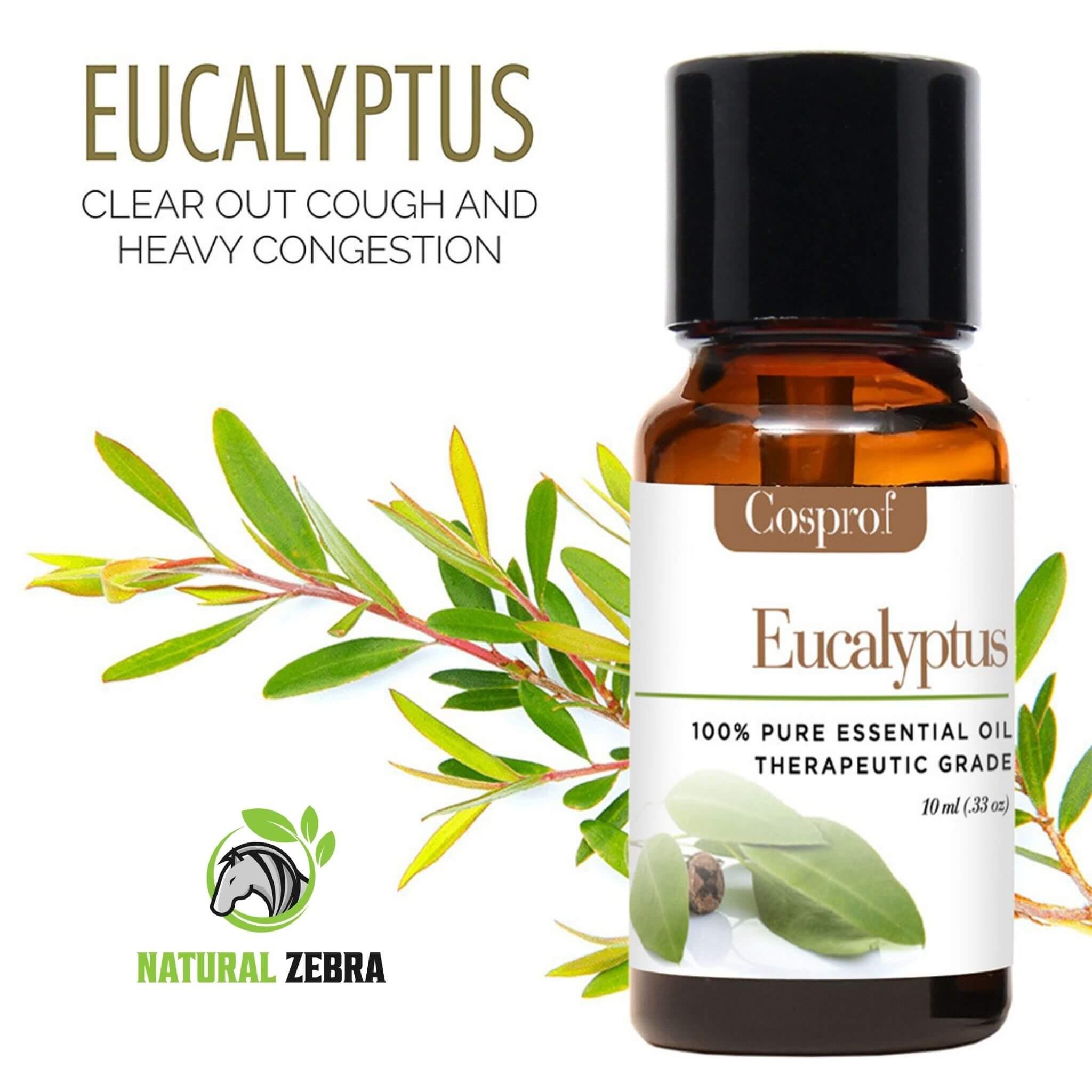 Essential Oils For Aromatherapy (Pack of 6) at Set Shop and Smile