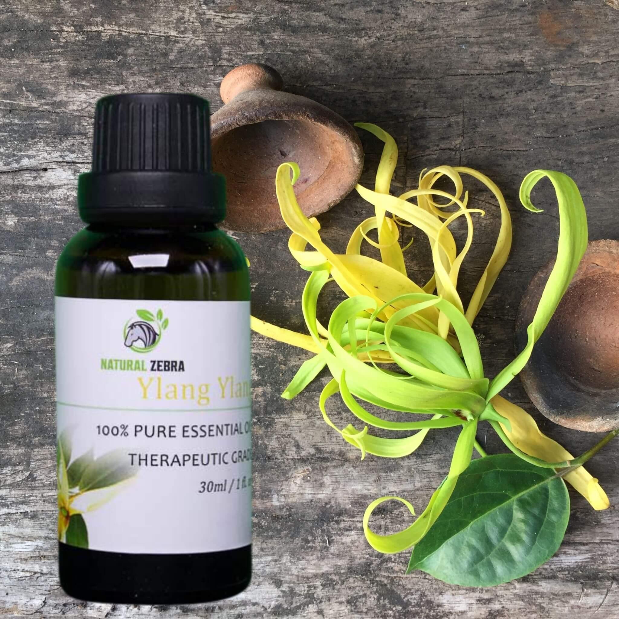 Ylang Ylang Essential Oil at Set Shop and Smile