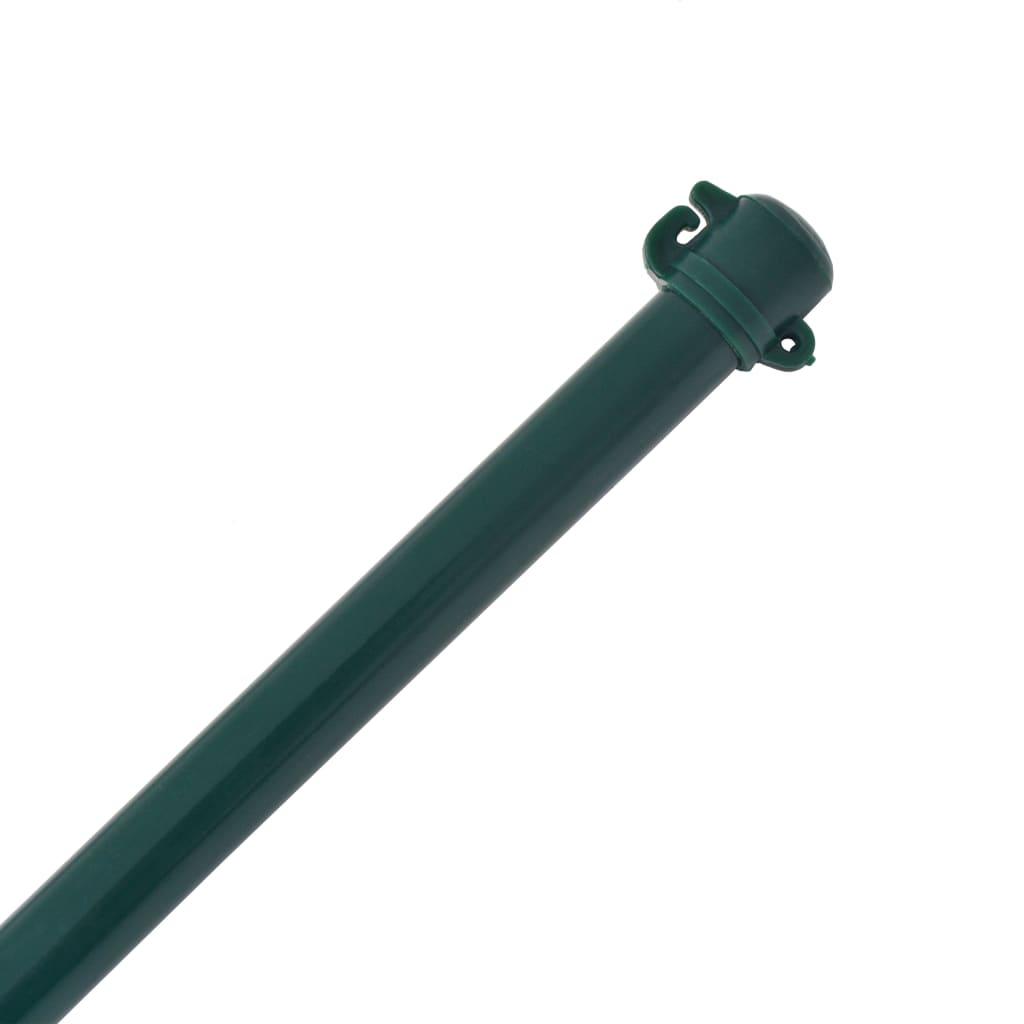 Garden Posts 10 pcs 39.4" Metal Green at Set Shop and Smile