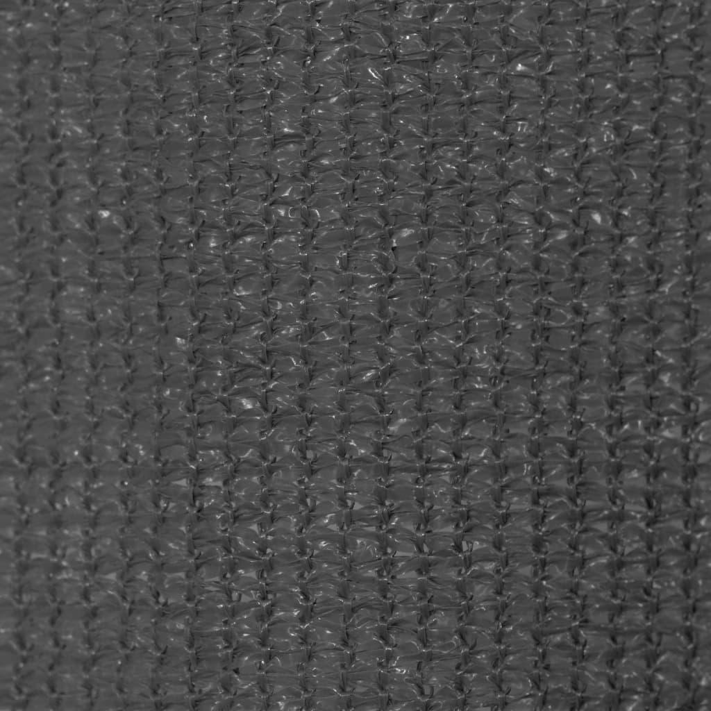 Outdoor Roller Blind 39.4"x90.6" Anthracite at Set Shop and Smile