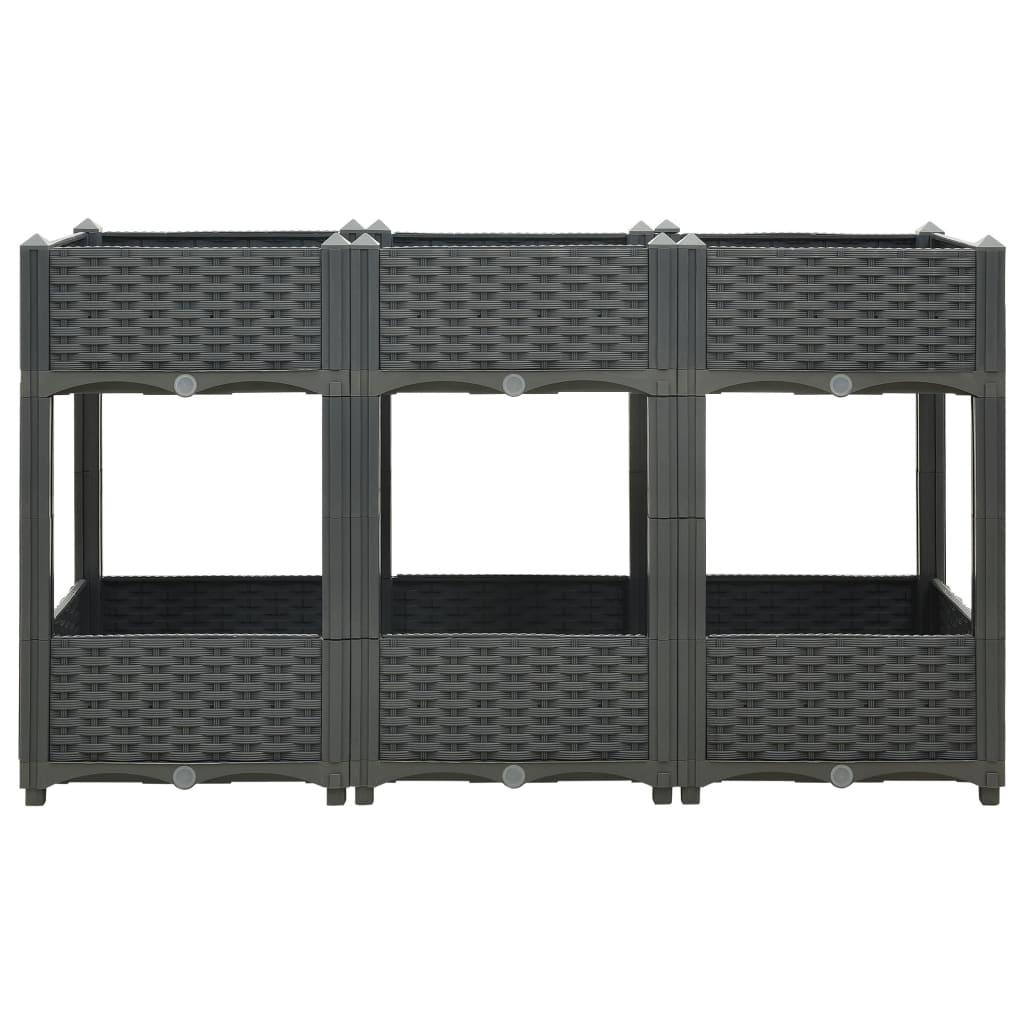 Raised Bed 47.2"x15.7"x28" Polypropylene at Set Shop and Smile