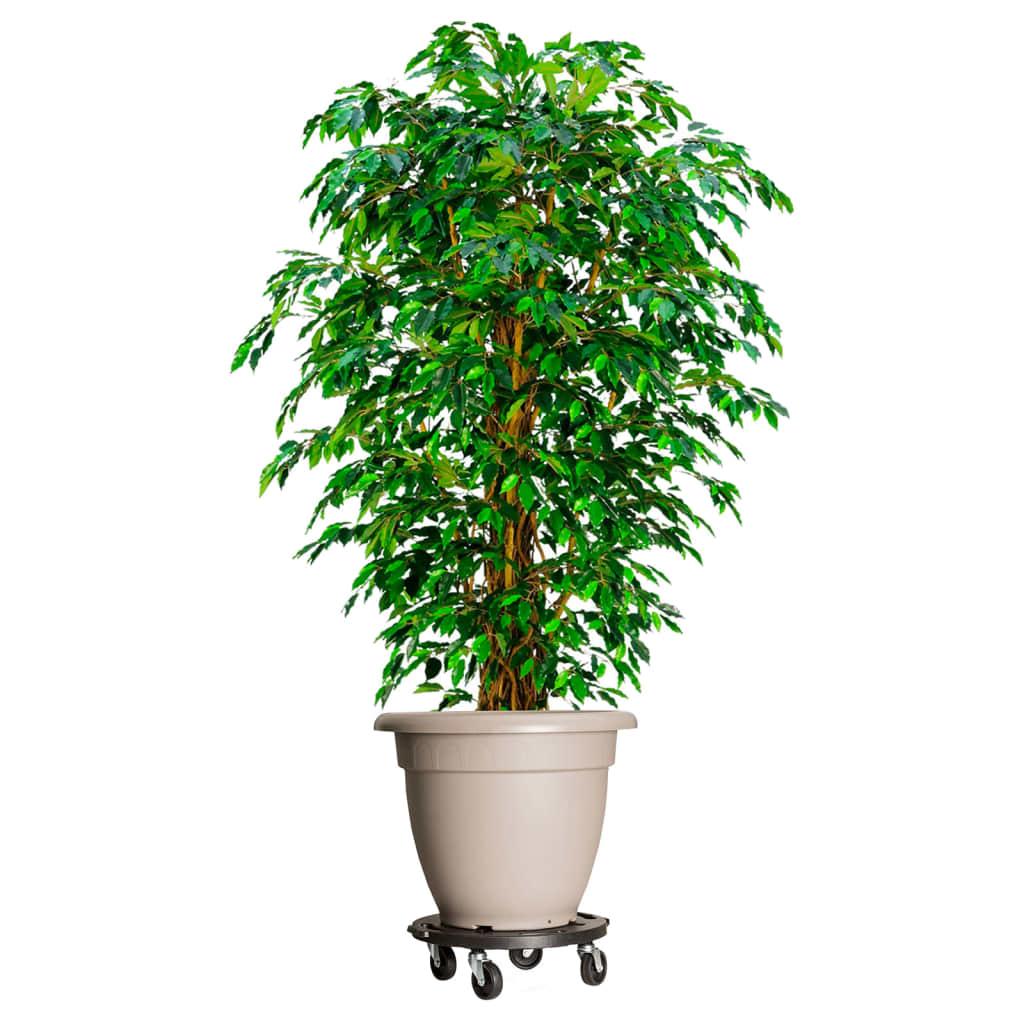 Plant Trolley with Wheels Diameter 15.7" Black 606.3 lb at Set Shop and Smile