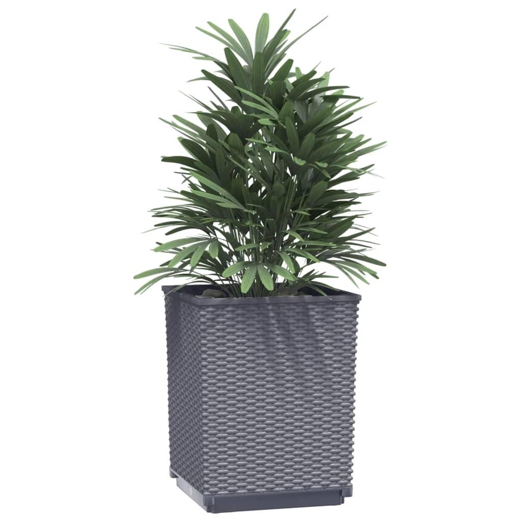 Planters 2 pcs Dark Gray 11.8"x11.8"x14.6" Polypropylene at Set Shop and Smile