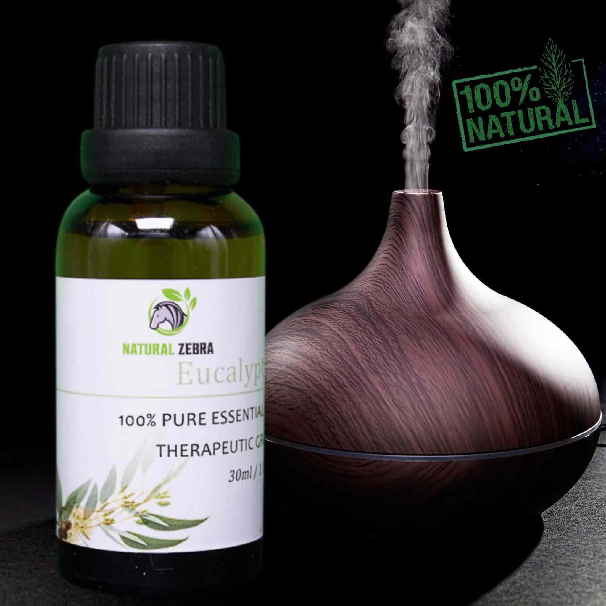 Eucalyptus Essential Oil at Set Shop and Smile