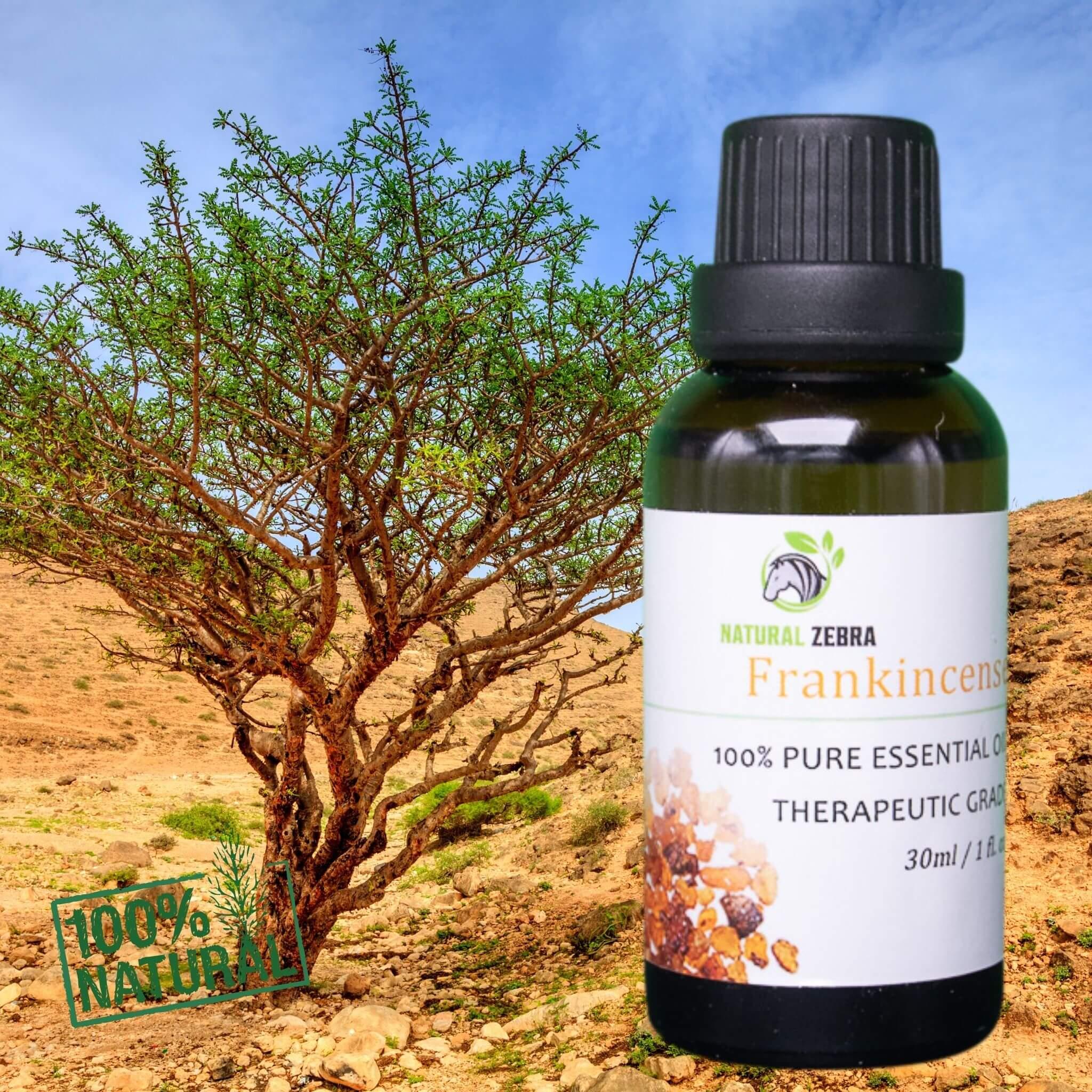 Frankincense Essential Oil at Set Shop and Smile
