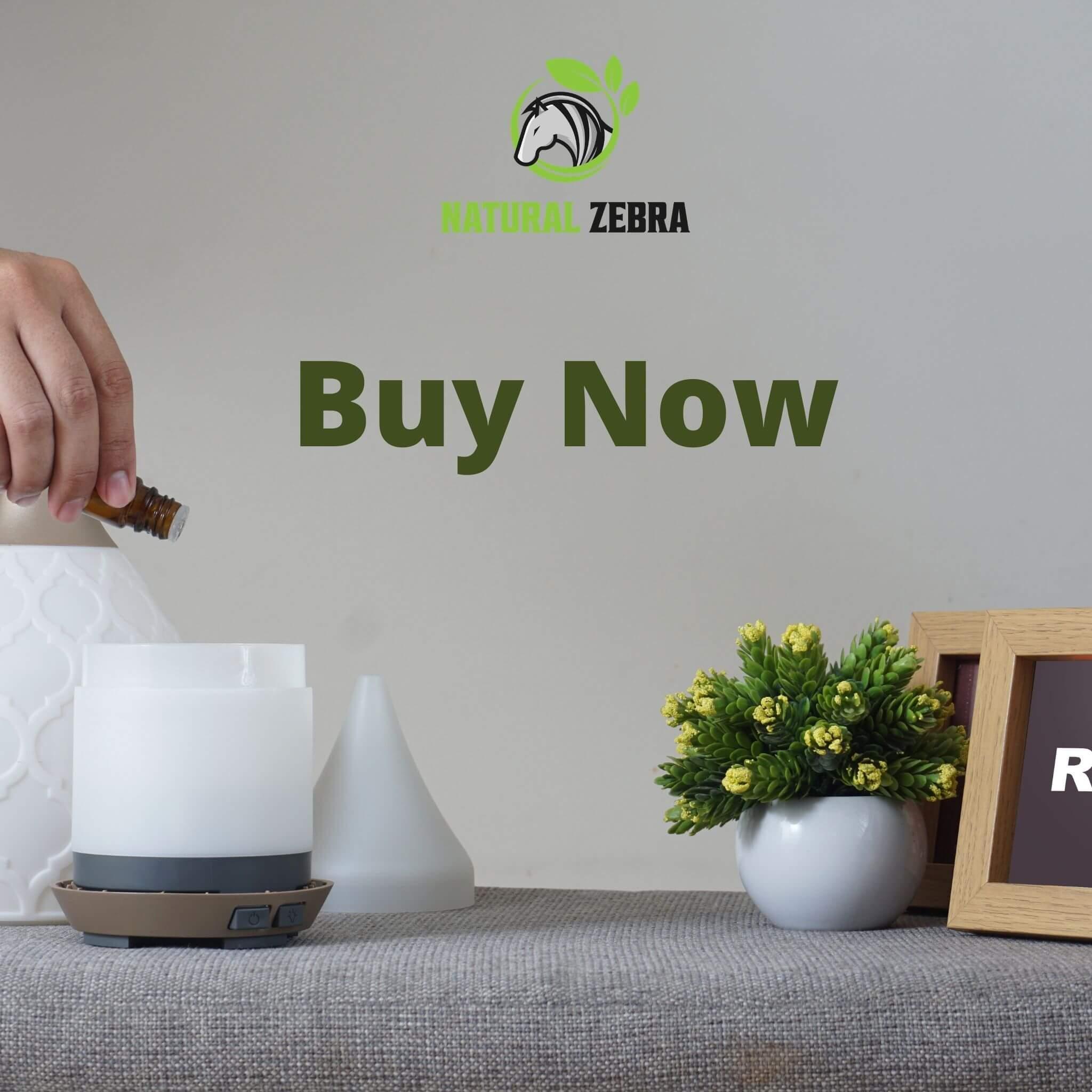 Essential Oils For Aromatherapy (Pack of 6) at Set Shop and Smile