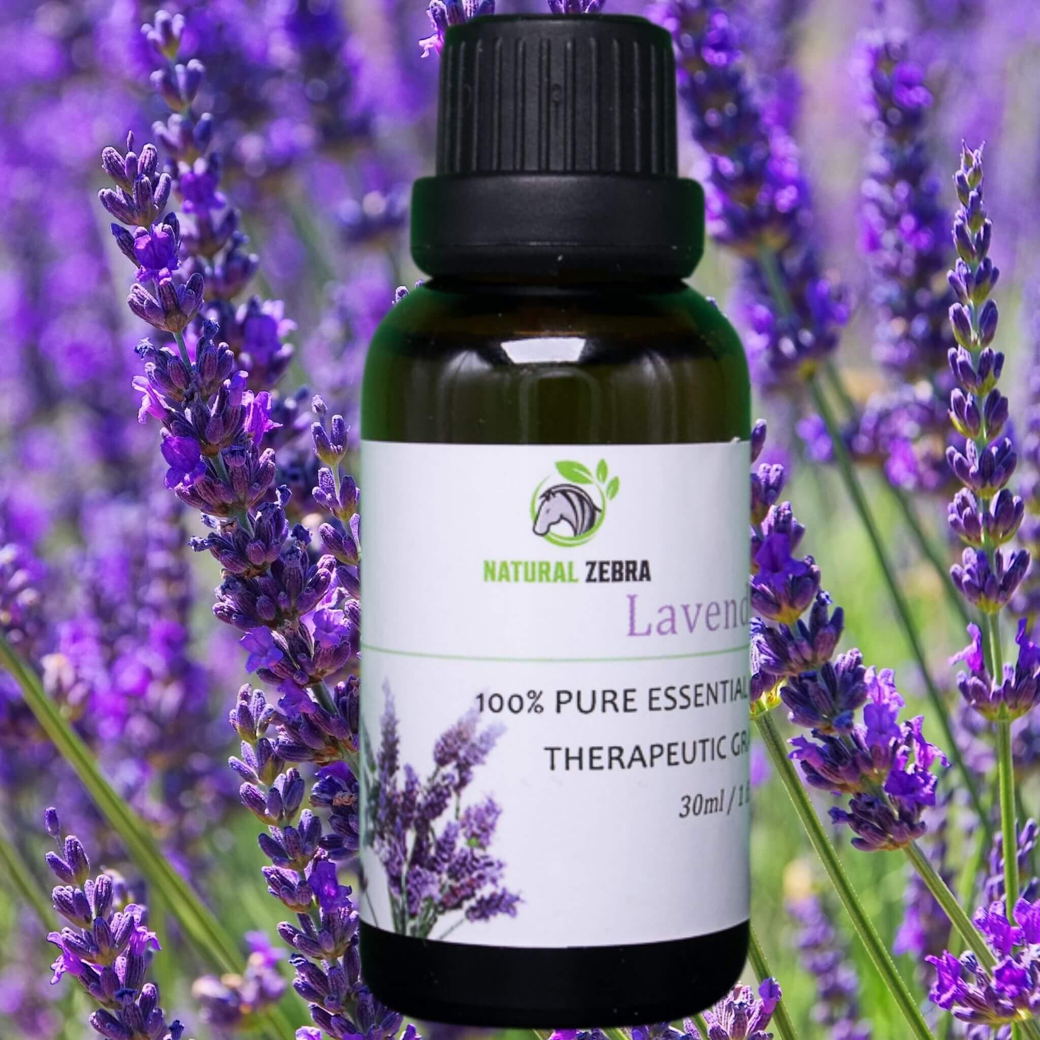 Lavender Essential Oil at Set Shop and Smile