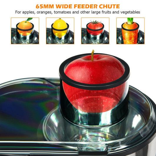 Centrifugal Juicer Machine Juicer Extractor Dual Speed at Set Shop and Smile