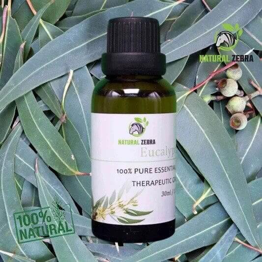 Eucalyptus Essential Oil at Set Shop and Smile