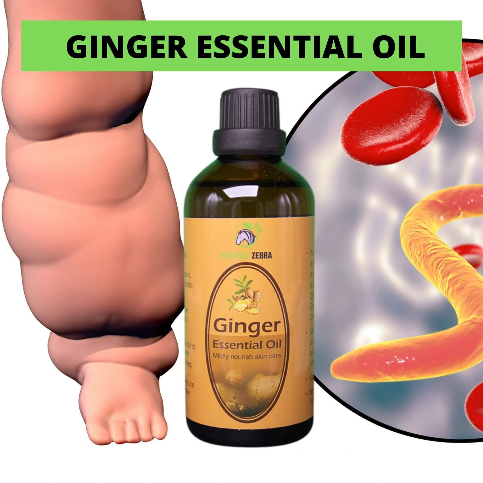 Ginger Essential Oil - 30ml at Set Shop and Smile