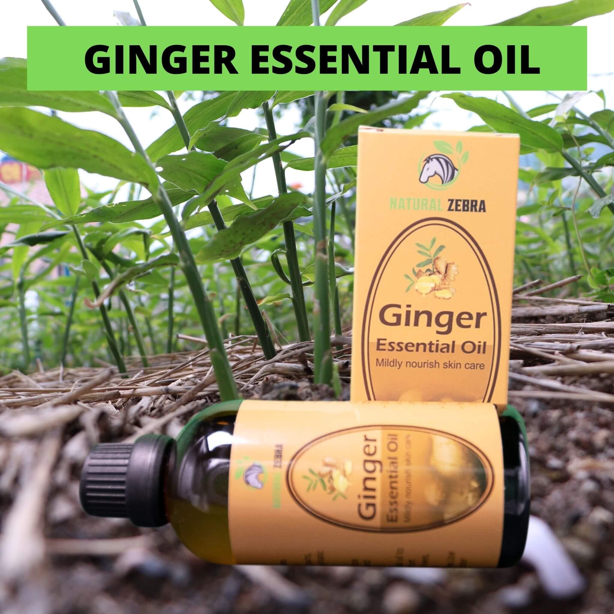 Ginger Essential Oil - 30ml at Set Shop and Smile