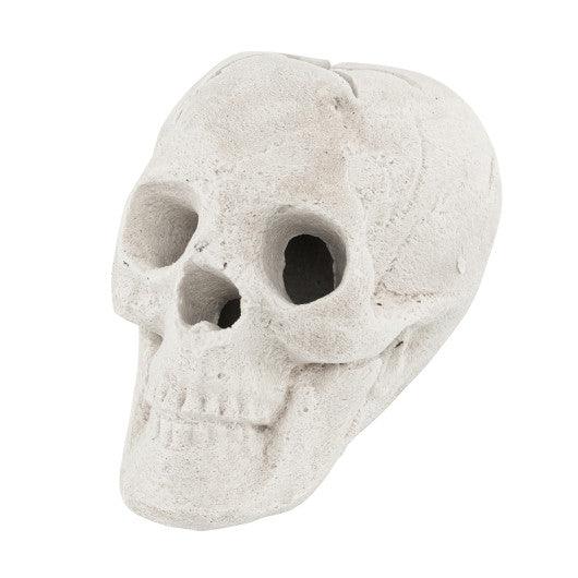 Halloween Fire Pit Skull Halloween Decoration-Beige at Set Shop and Smile