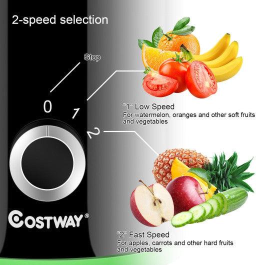 2 Speed Wide Mouth Fruit and Vegetable Centrifugal Electric Juicer at Set Shop and Smile