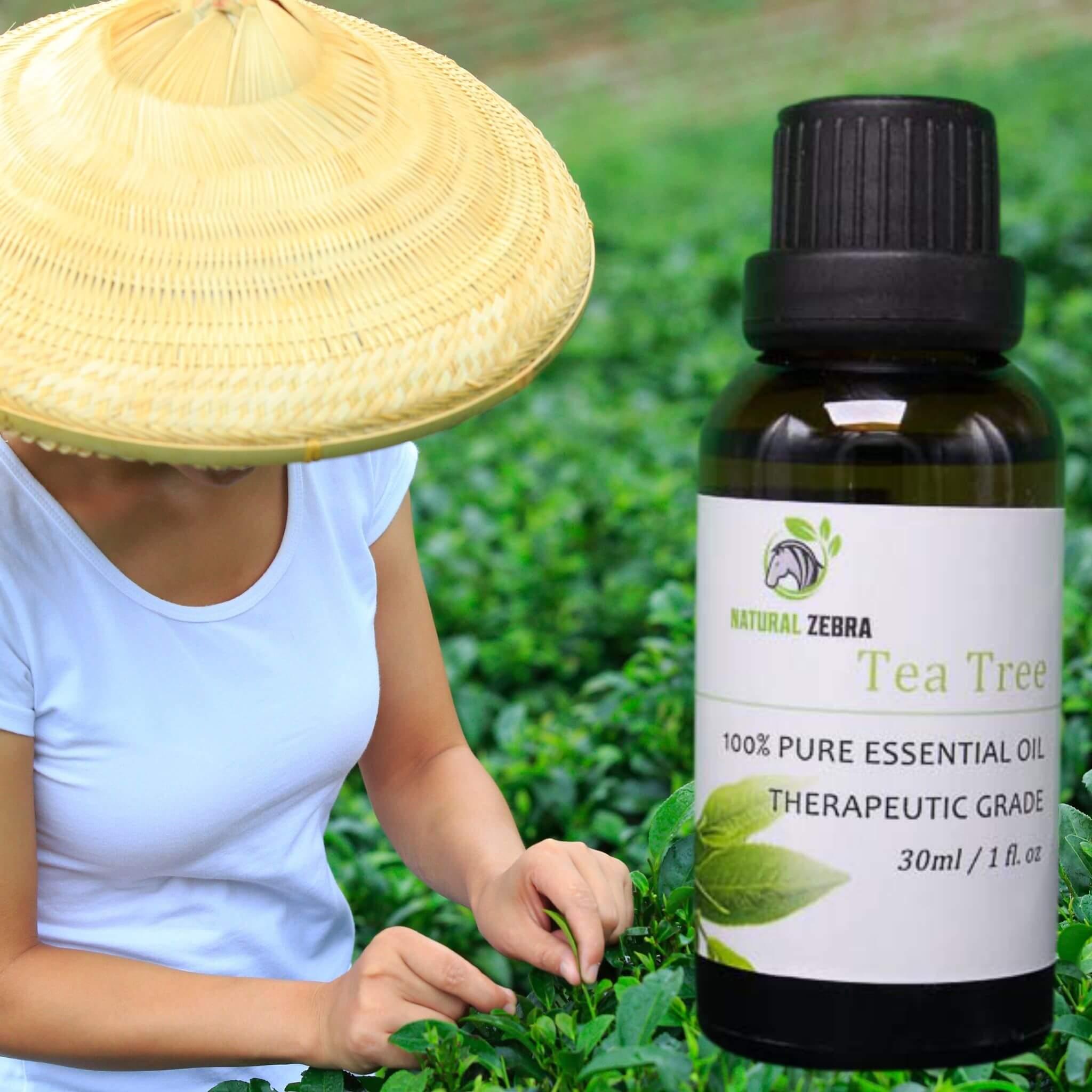 Tea Tree Essential Oil at Set Shop and Smile