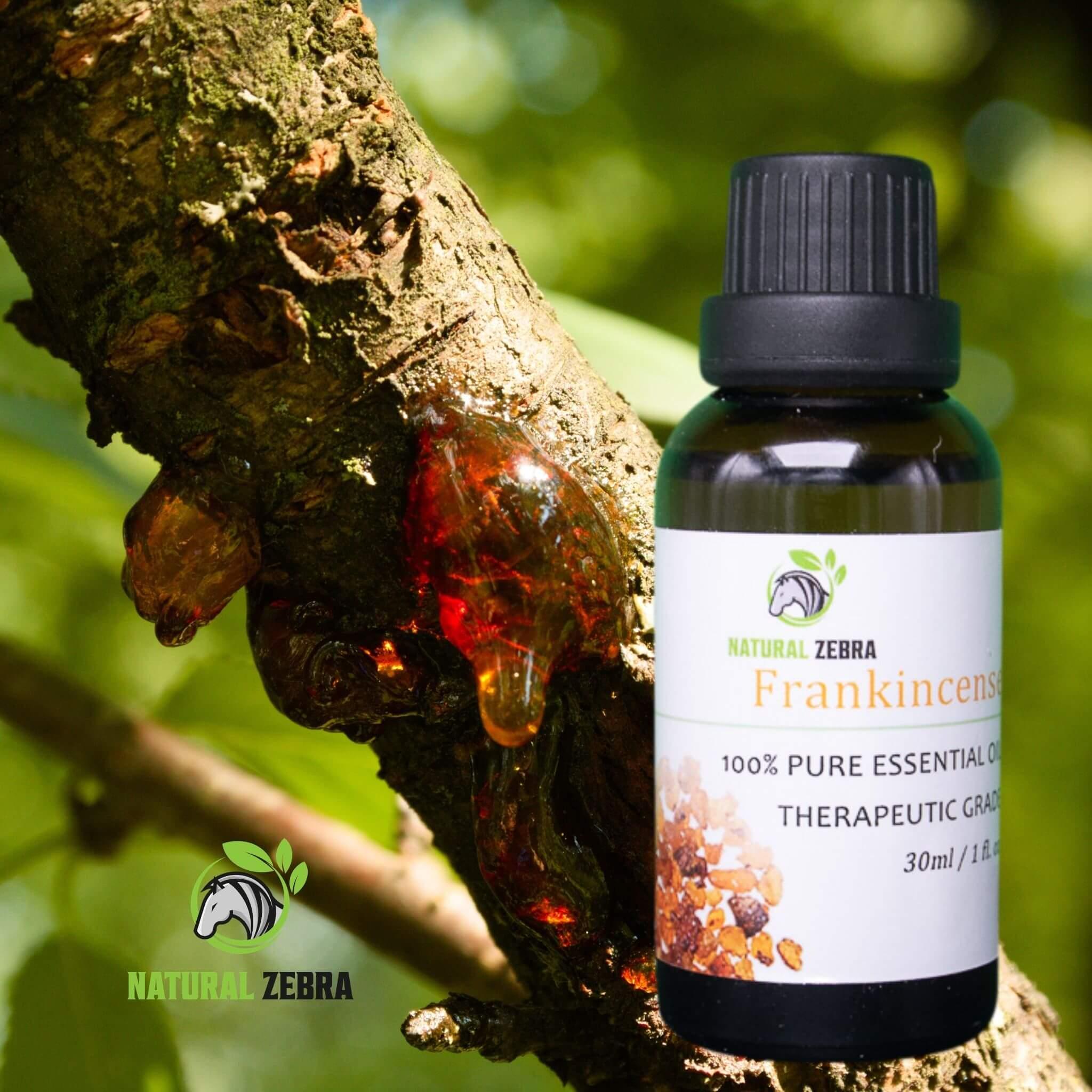 Frankincense Essential Oil at Set Shop and Smile