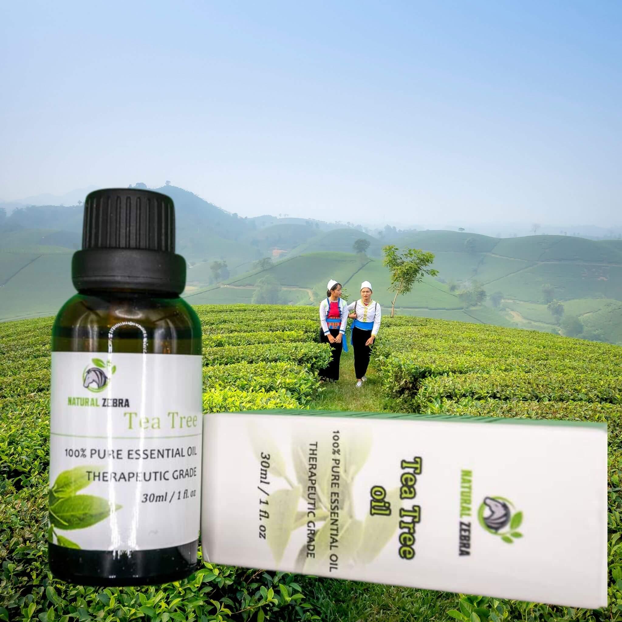 Tea Tree Essential Oil at Set Shop and Smile