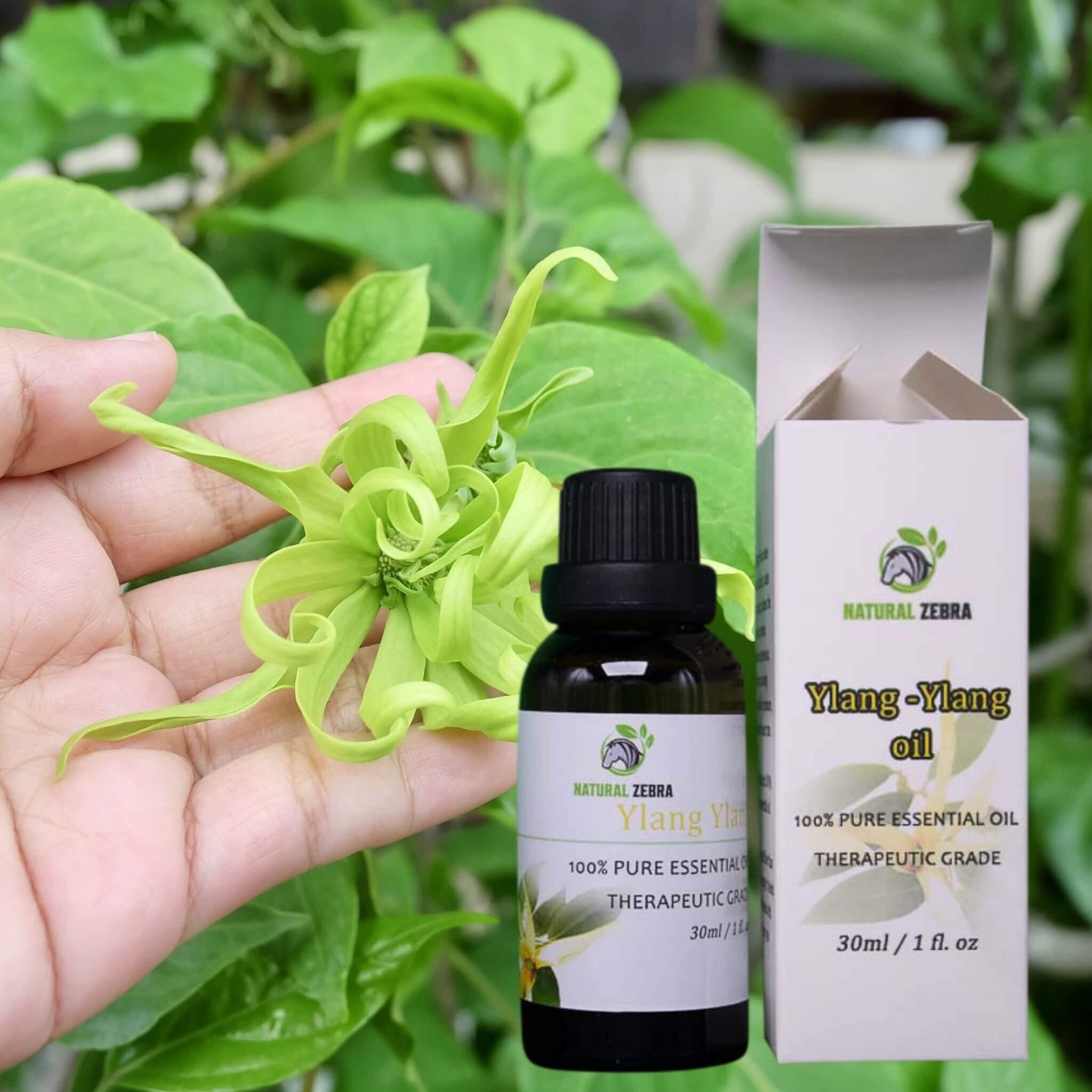 Ylang Ylang Essential Oil at Set Shop and Smile