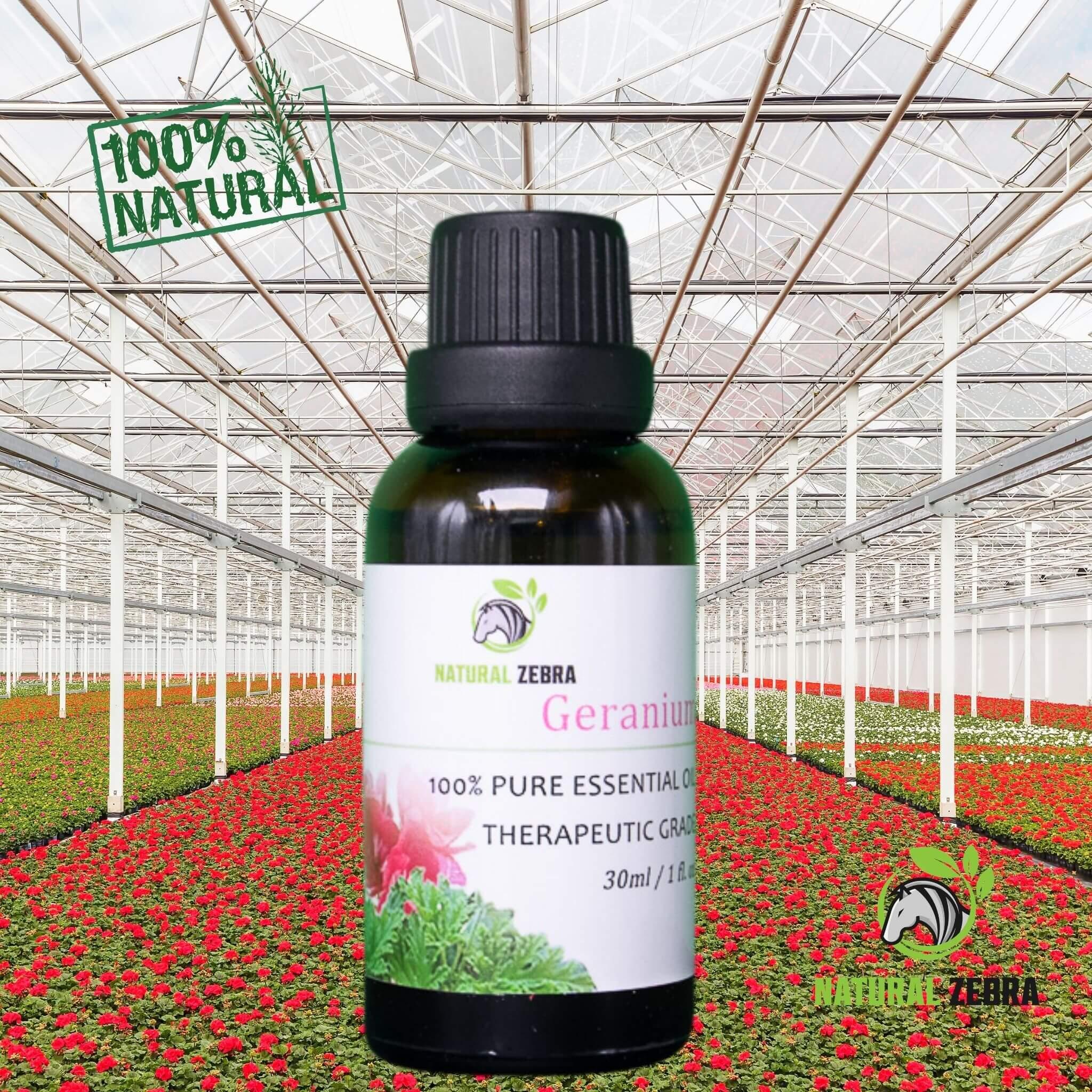 Geranium Essential Oil at Set Shop and Smile