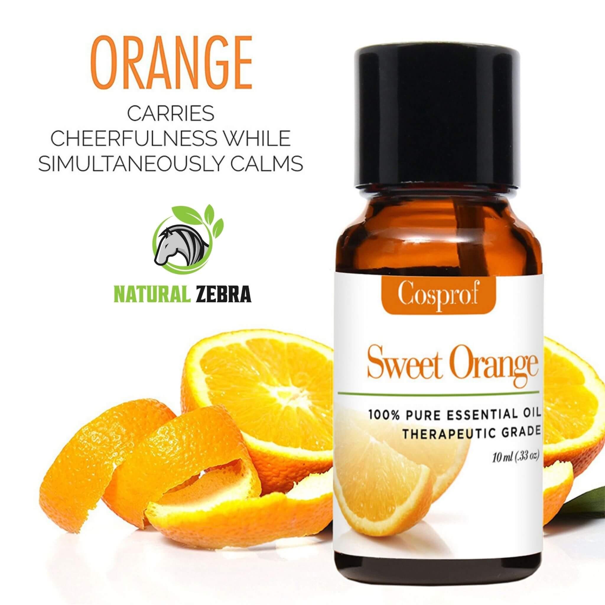 Essential Oils For Aromatherapy (Pack of 6) at Set Shop and Smile