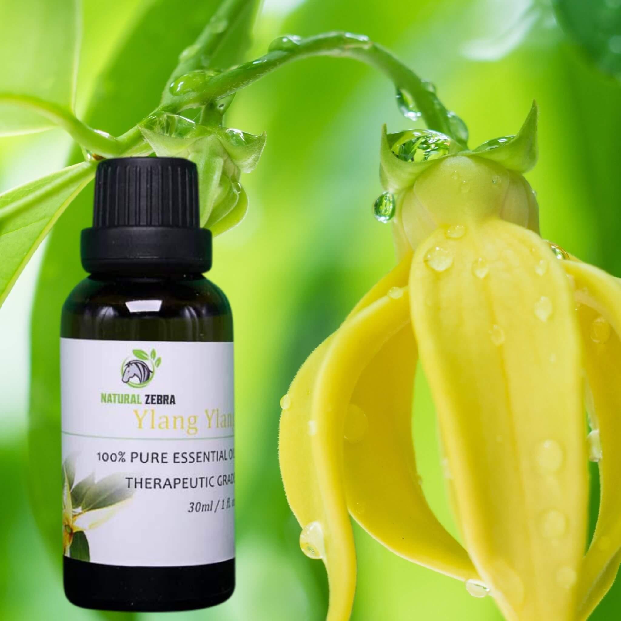 Ylang Ylang Essential Oil at Set Shop and Smile