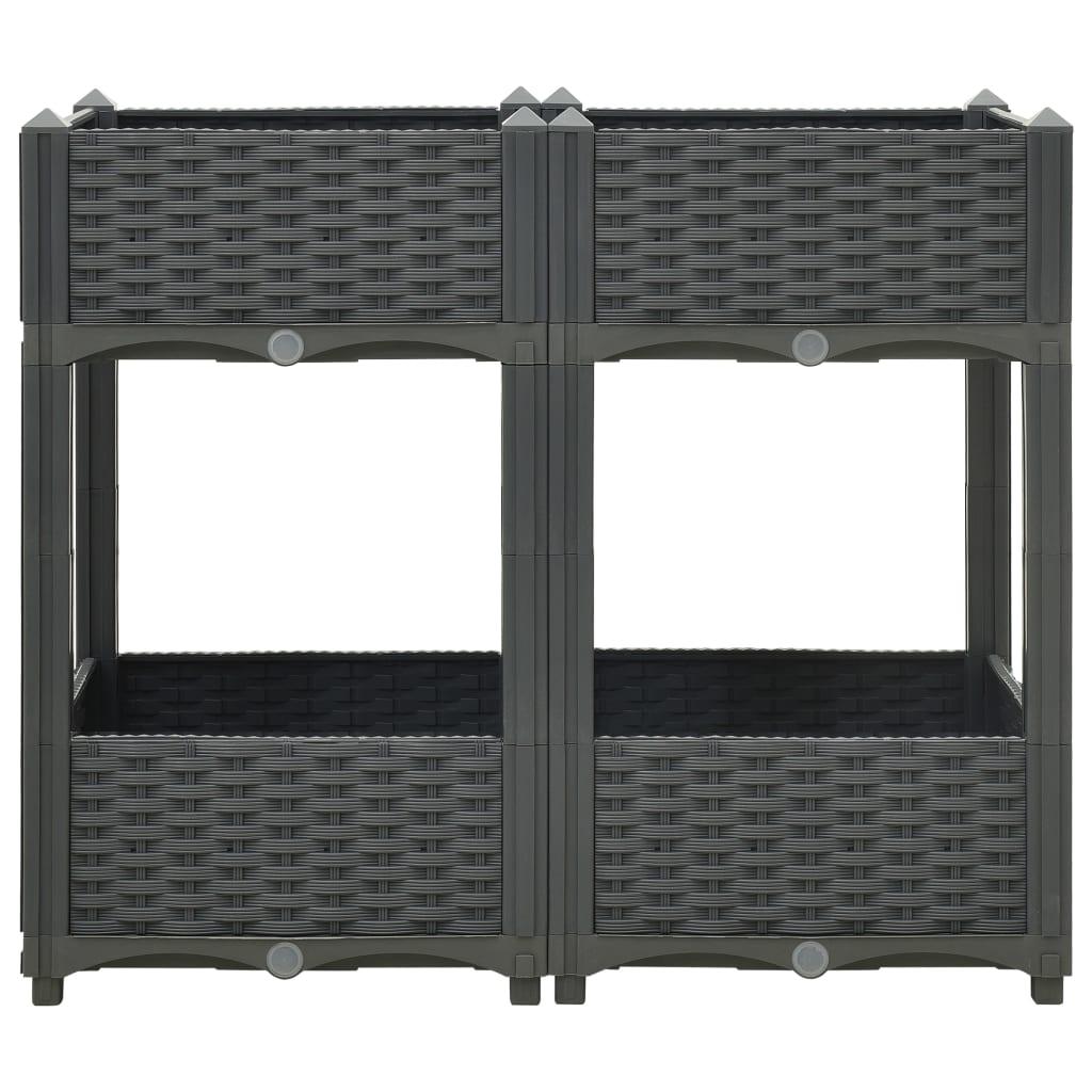 Raised Bed 31.5"x15.7"x28" Polypropylene at Set Shop and Smile