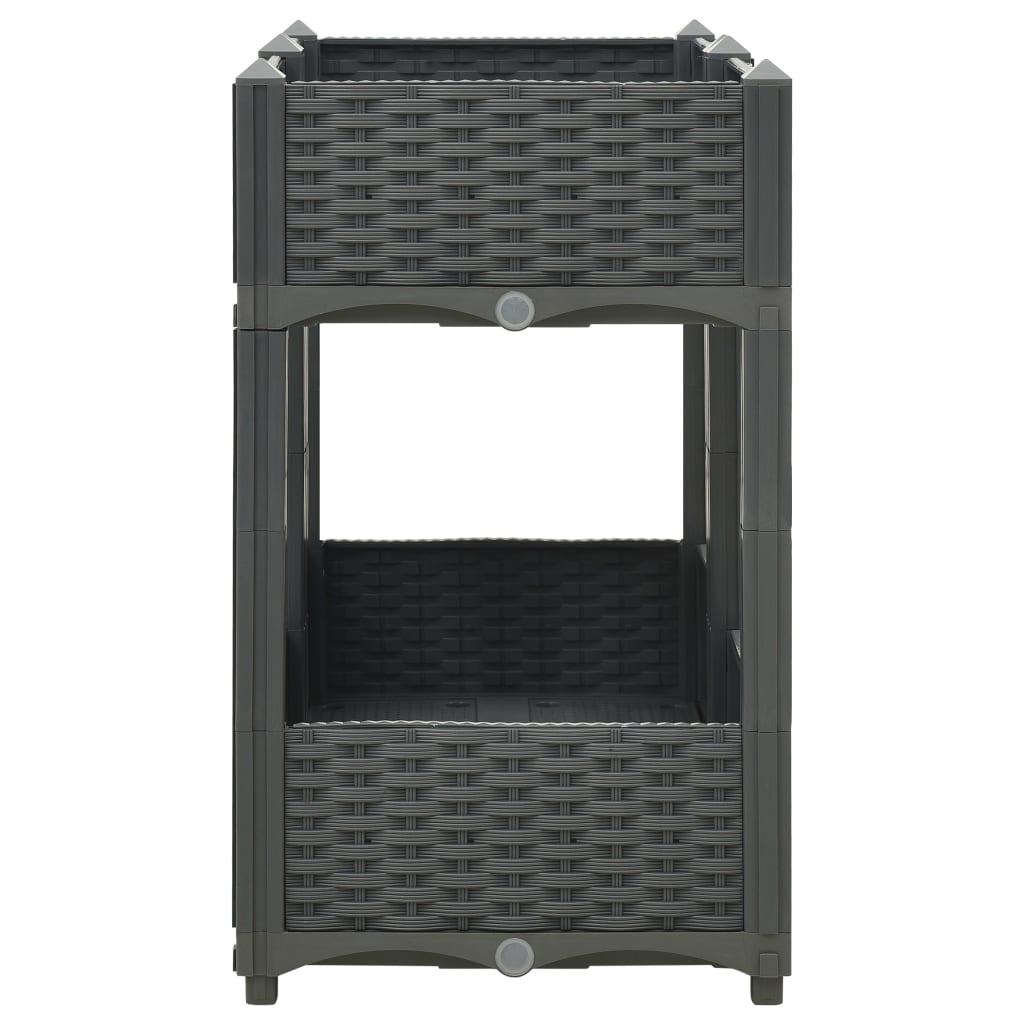 Raised Bed 31.5"x15.7"x28" Polypropylene at Set Shop and Smile