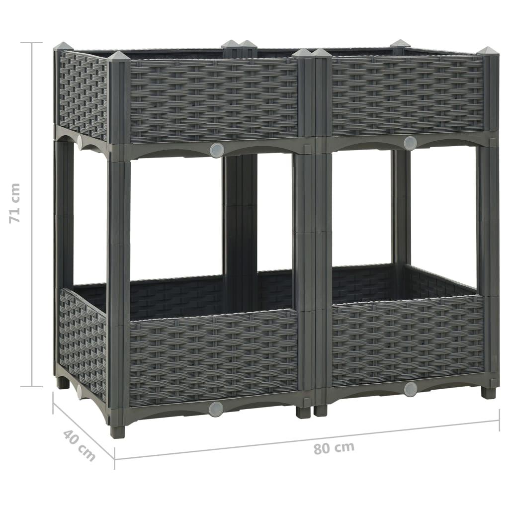 Raised Bed 31.5"x15.7"x28" Polypropylene at Set Shop and Smile