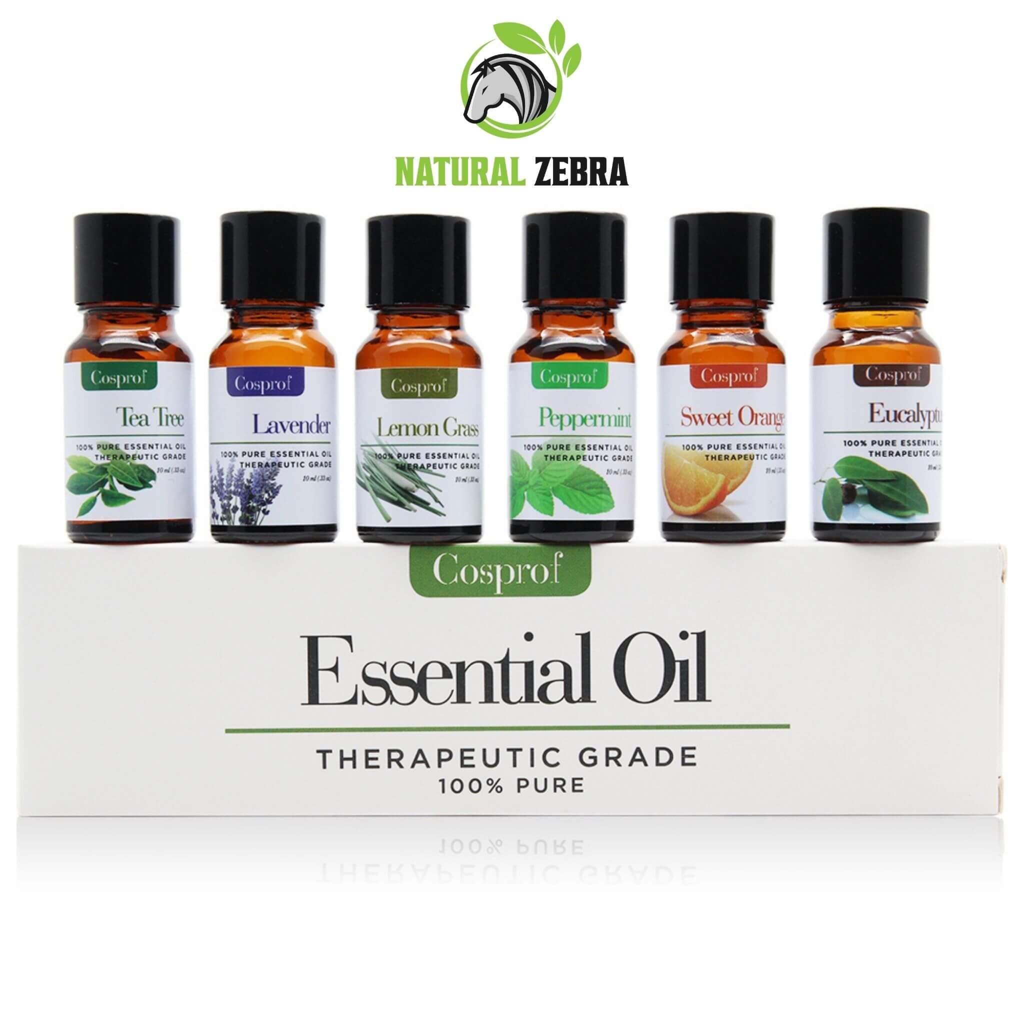 Essential Oils For Aromatherapy (Pack of 6) at Set Shop and Smile