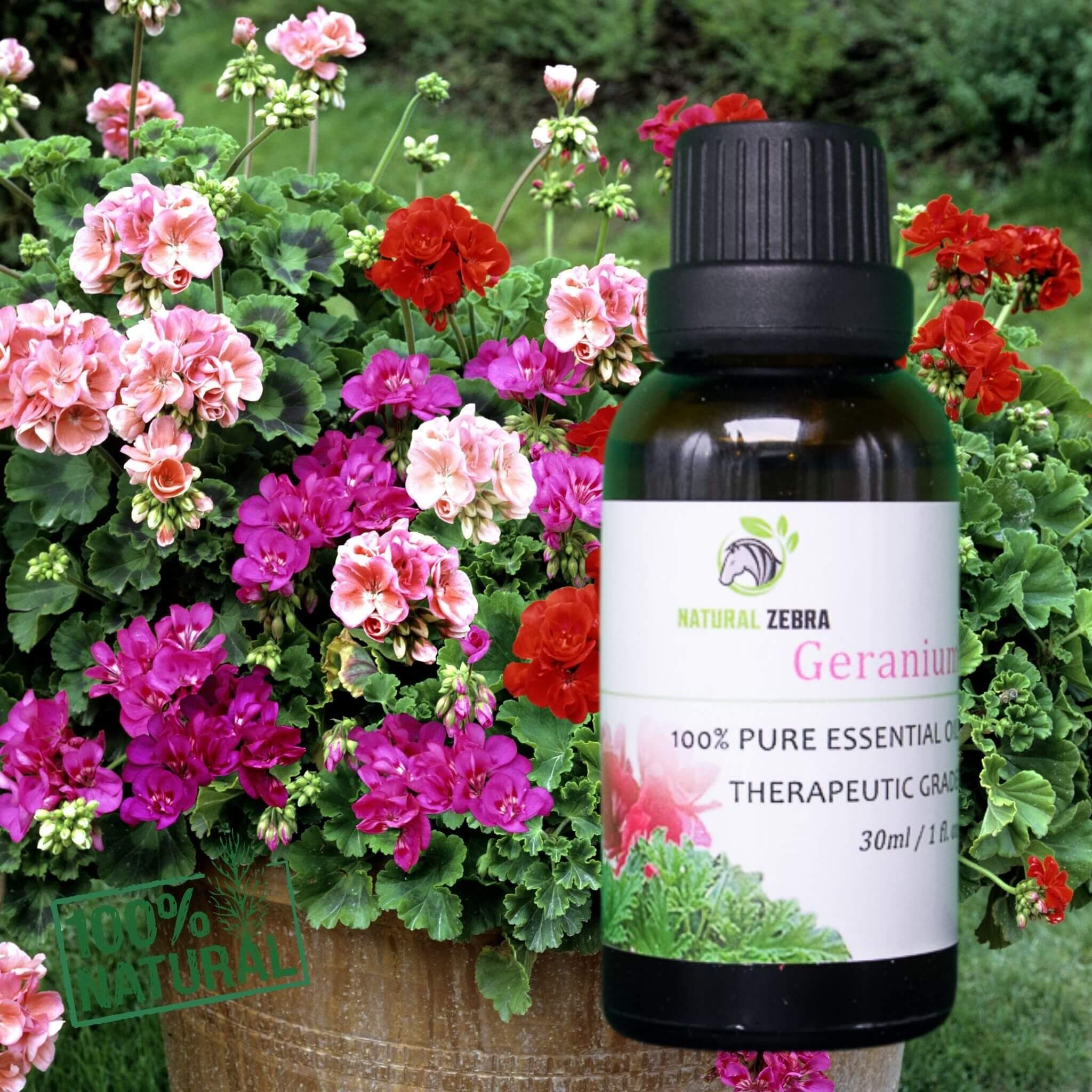 Geranium Essential Oil at Set Shop and Smile
