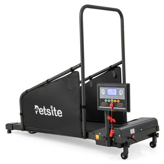 Indoor Pet Exercise Equipment with Remote Control at Set Shop and Smile