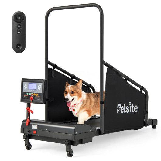 Indoor Pet Exercise Equipment with Remote Control at Set Shop and Smile