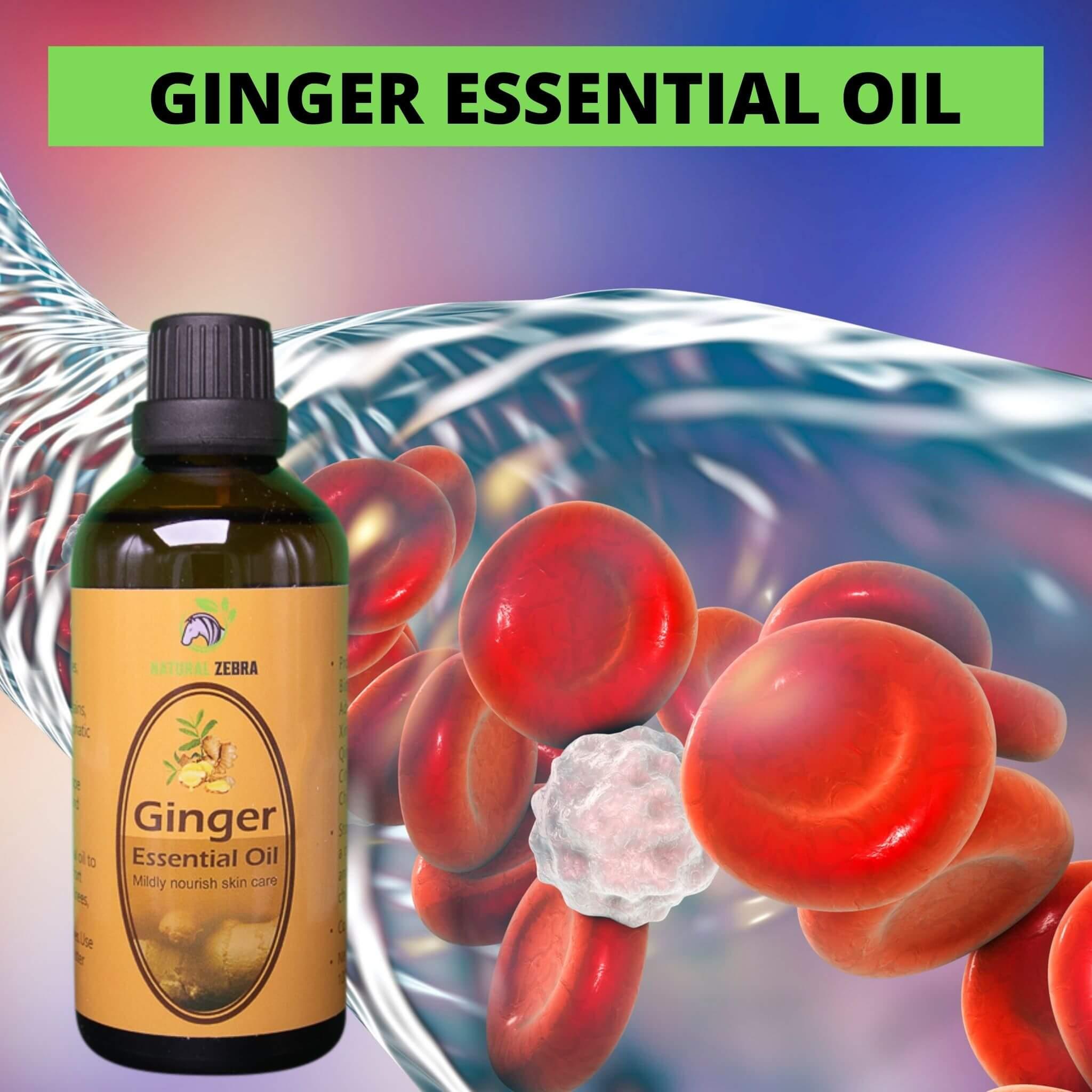 Ginger Essential Oil - 100ml at Set Shop and Smile